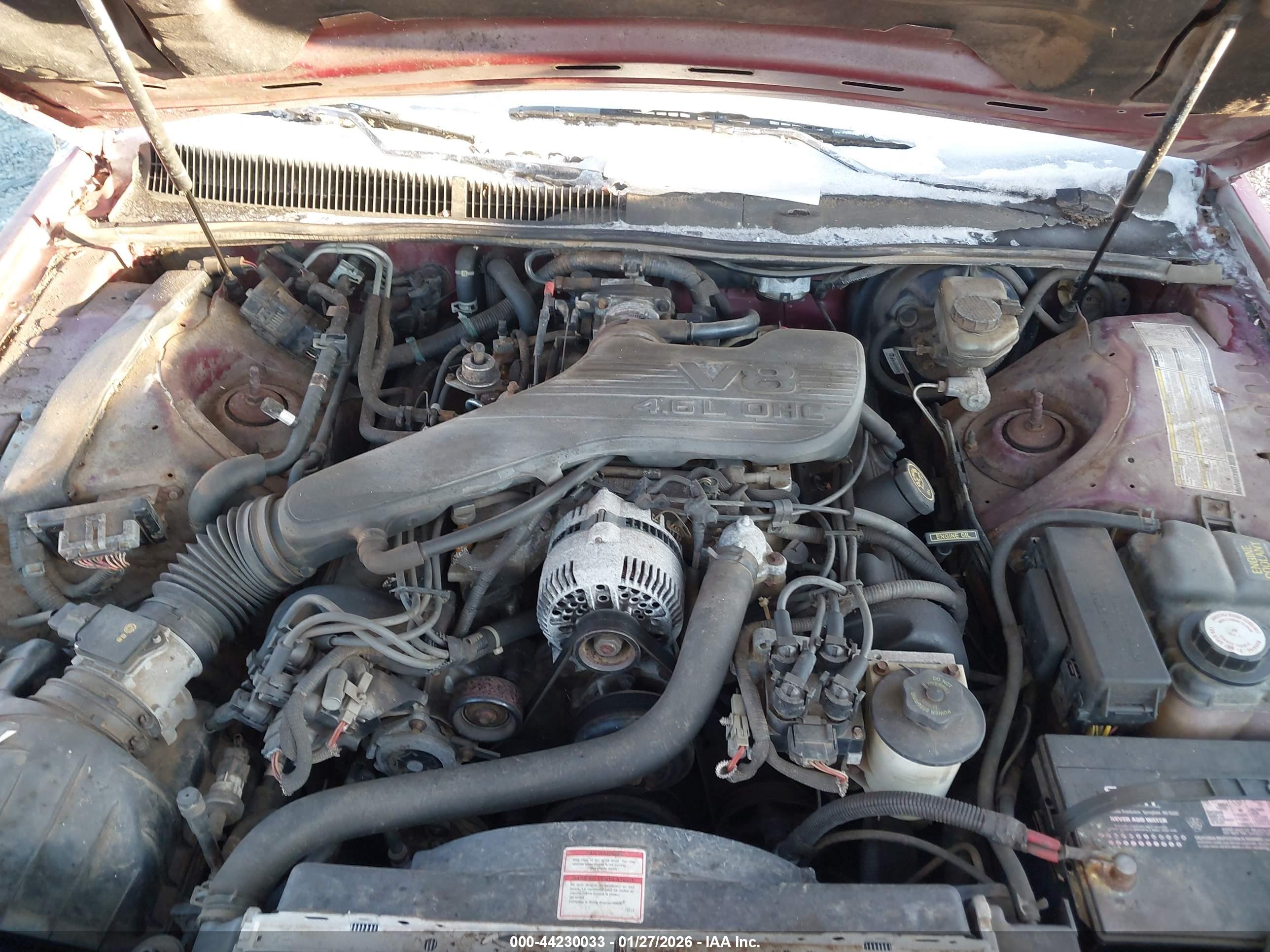 FORD THUNDERBIRD image 10