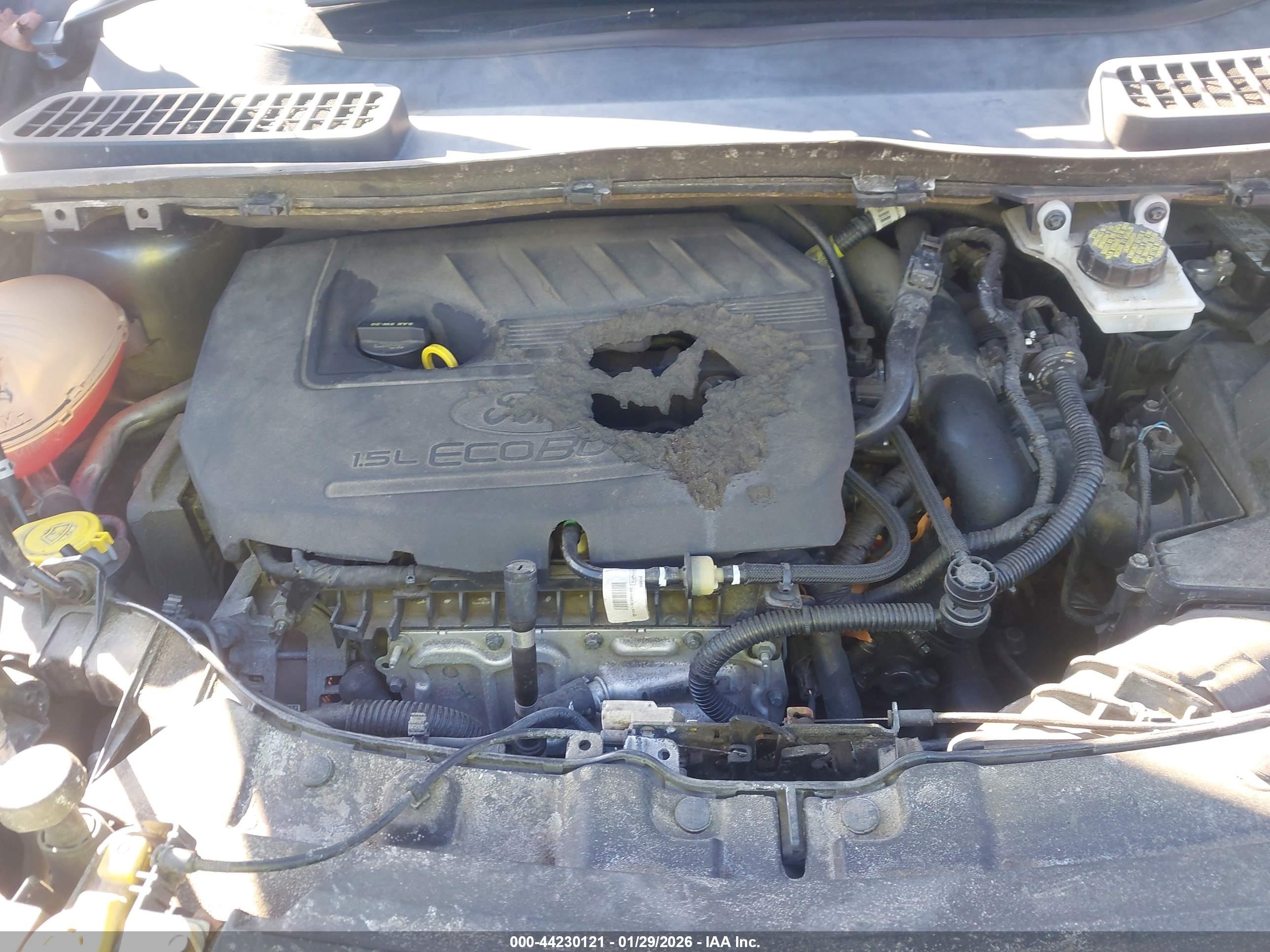 FORD ESCAPE image 10