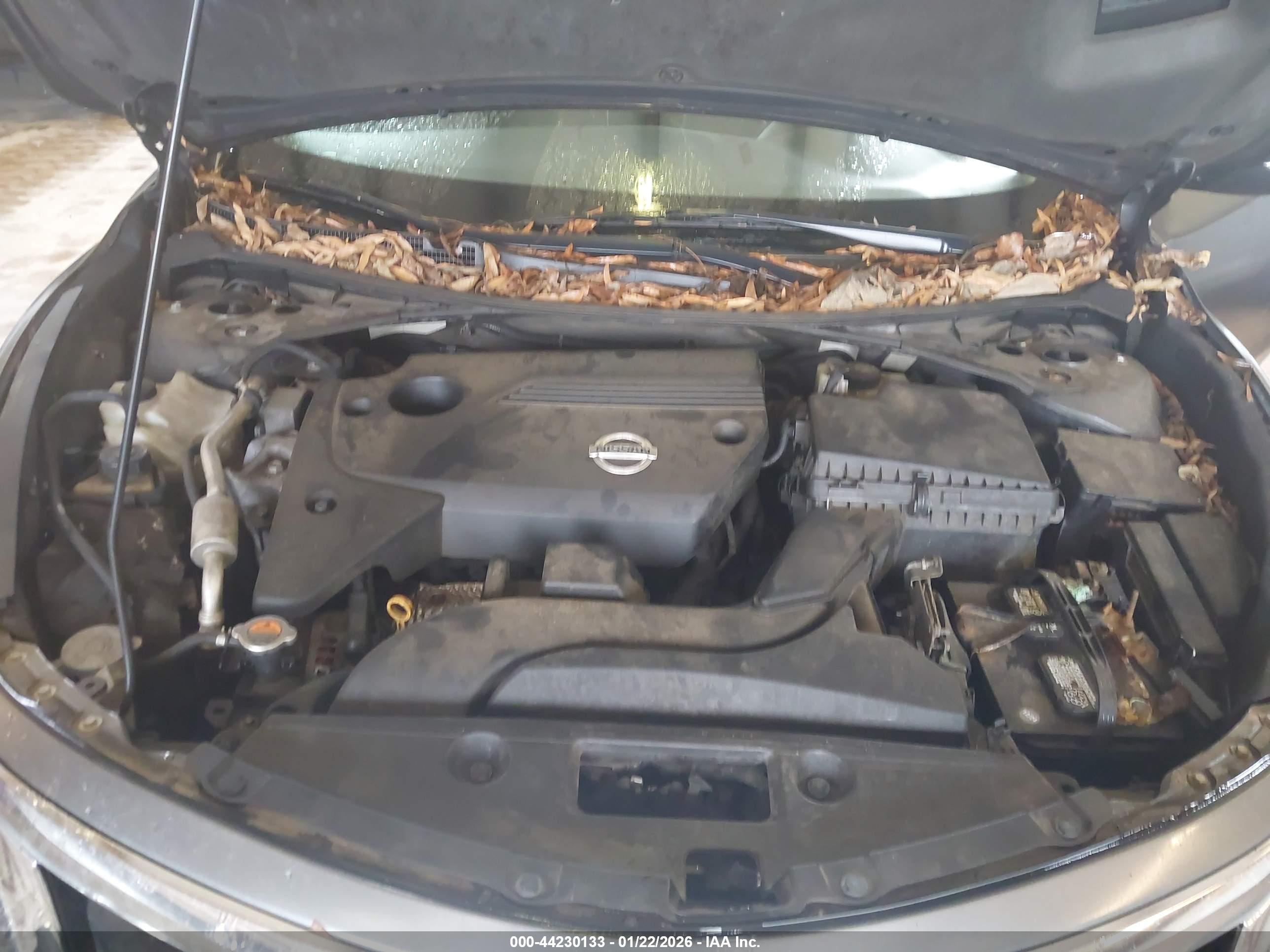 NISSAN ALTIMA image 10
