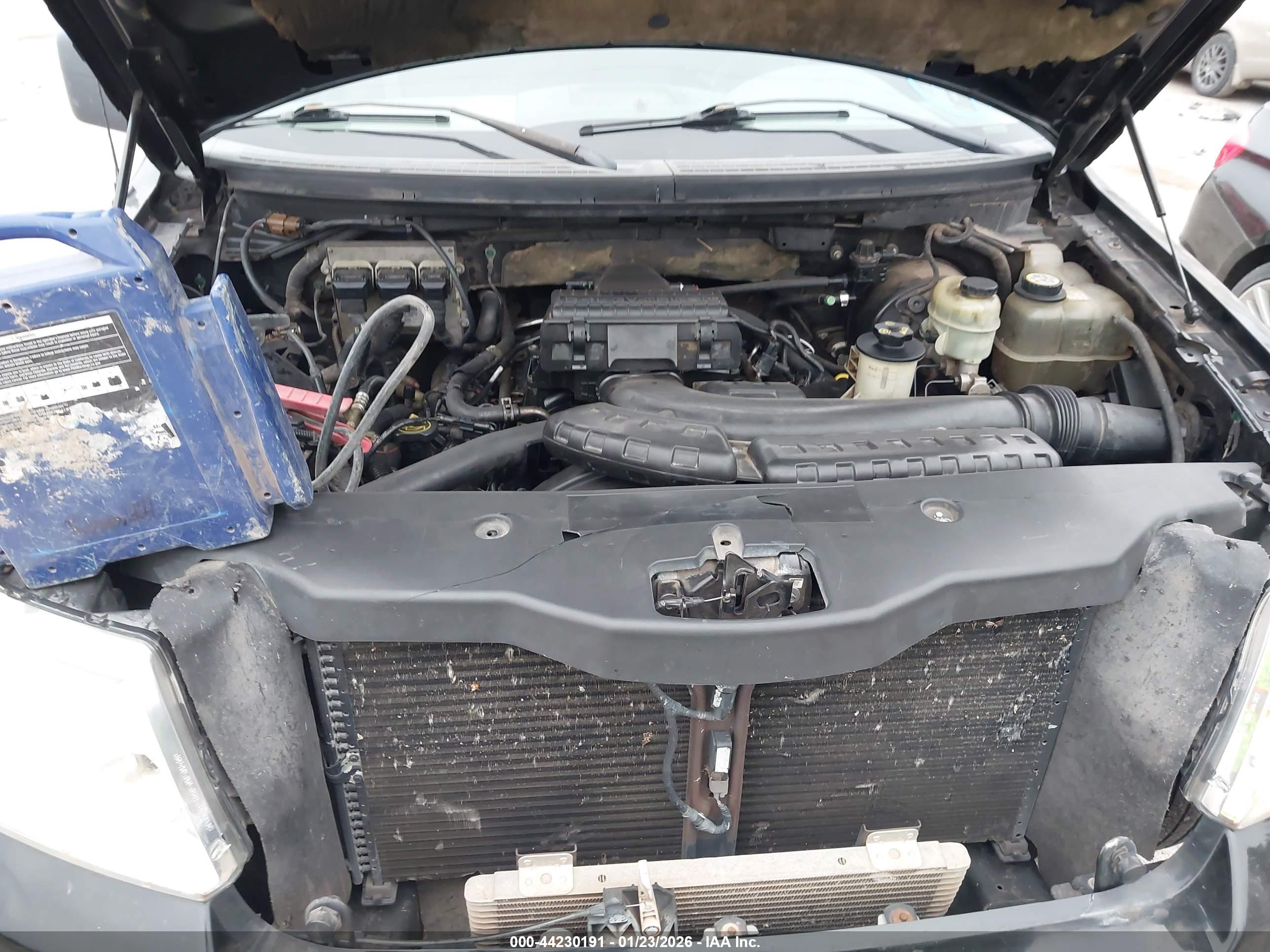FORD F-150 image 10
