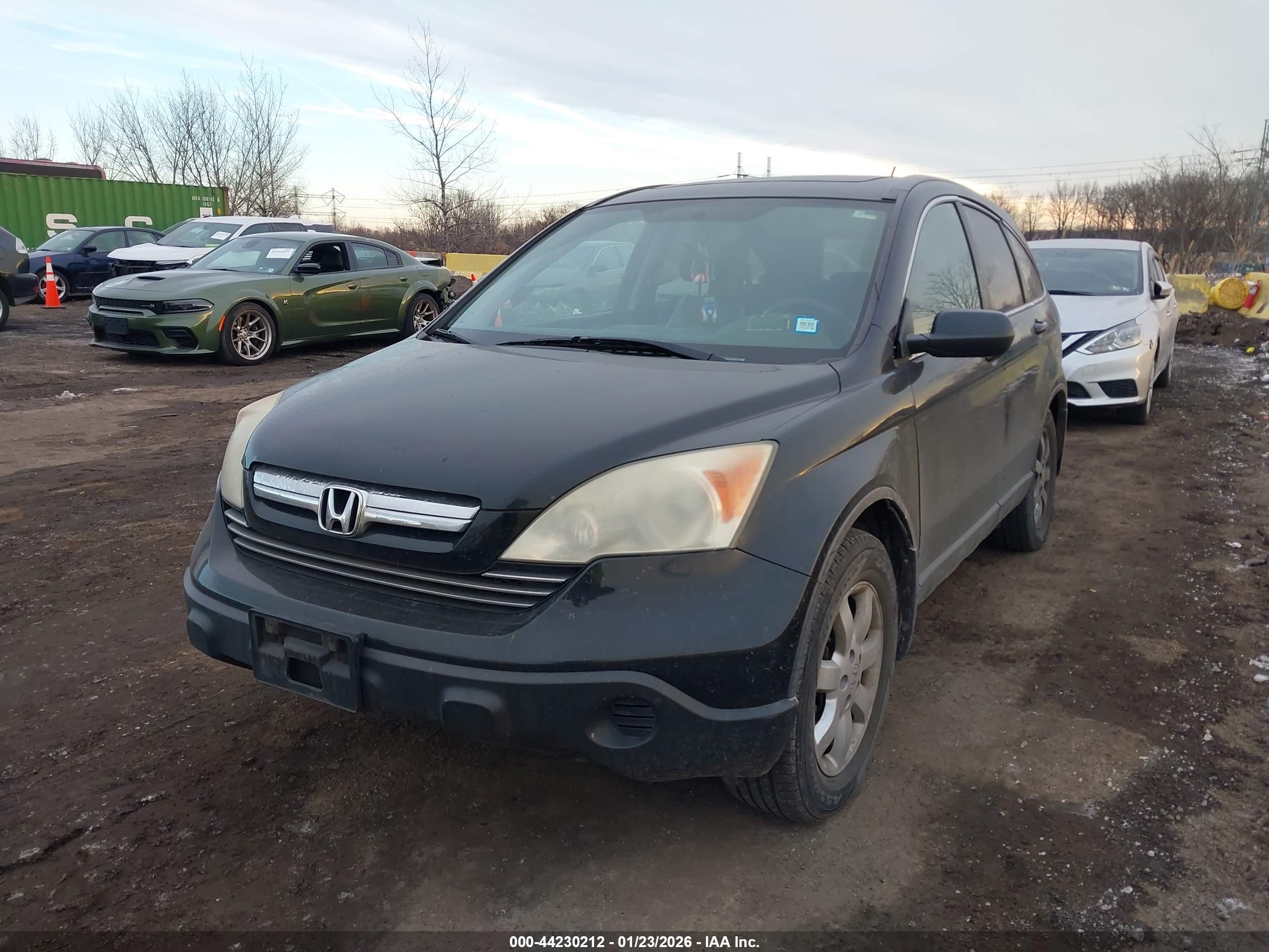 HONDA CR-V image 6