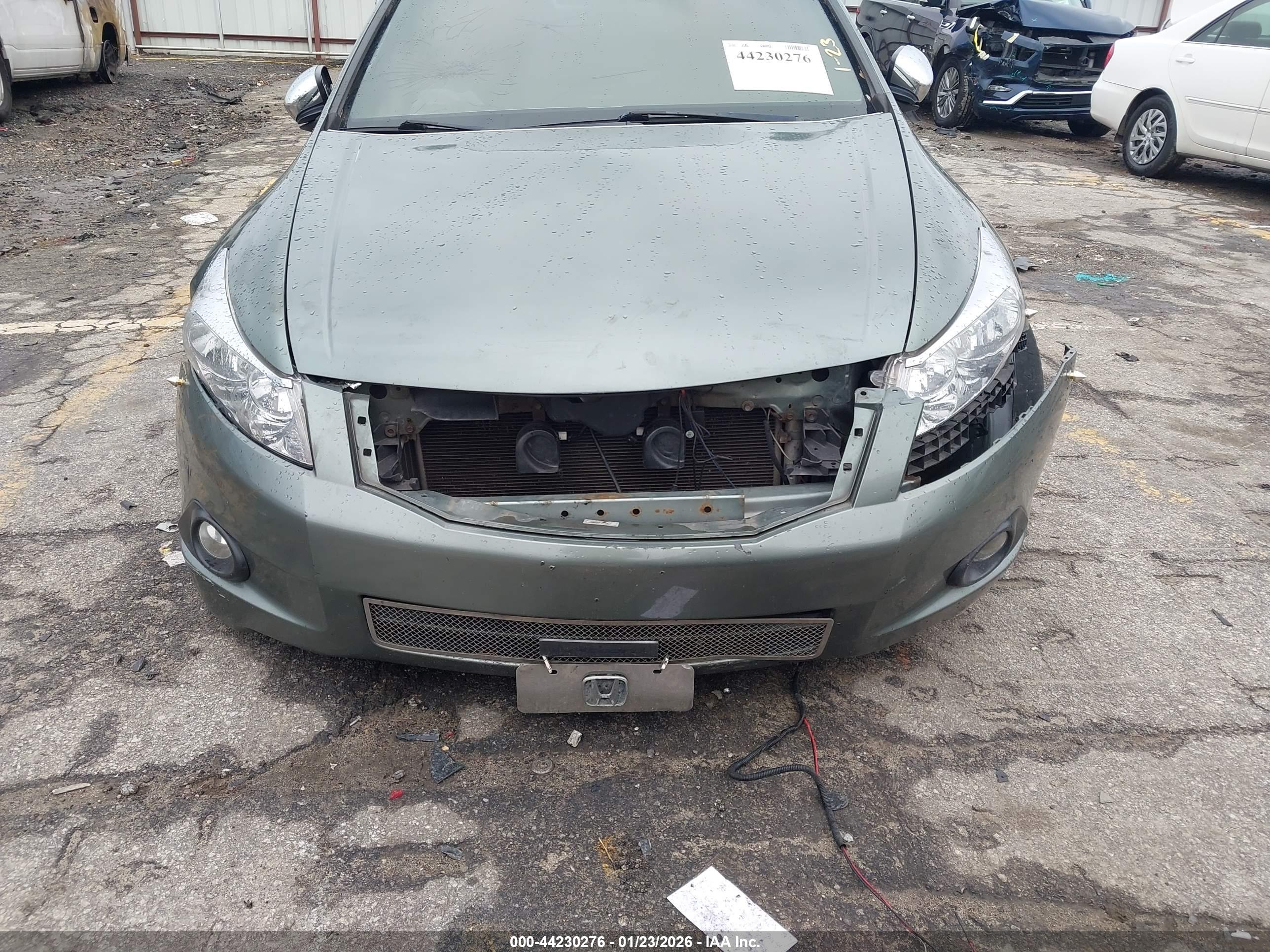 HONDA ACCORD image 6