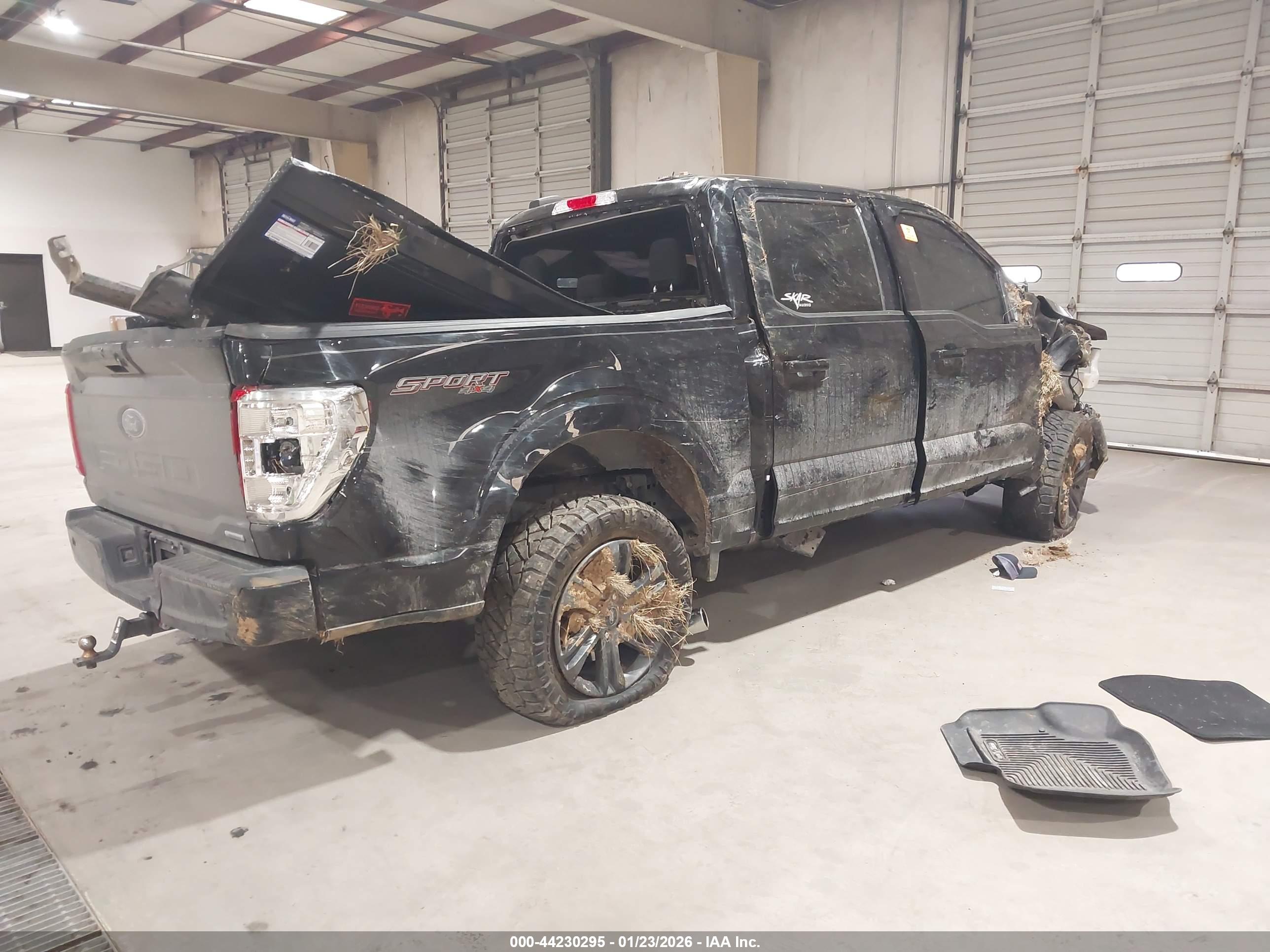 FORD F-150 image 4