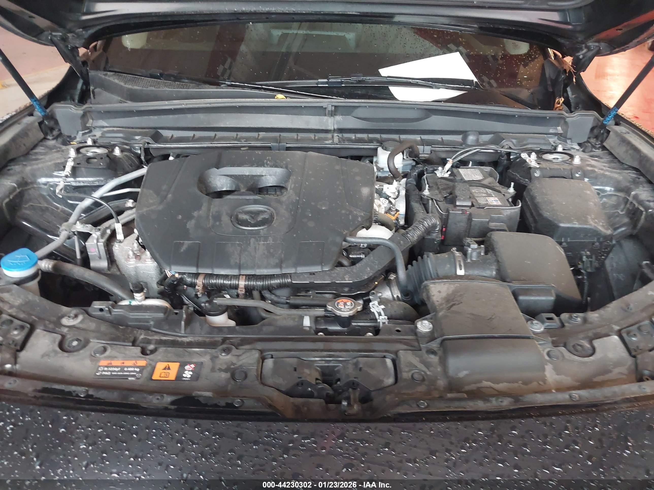 MAZDA CX-50 image 10