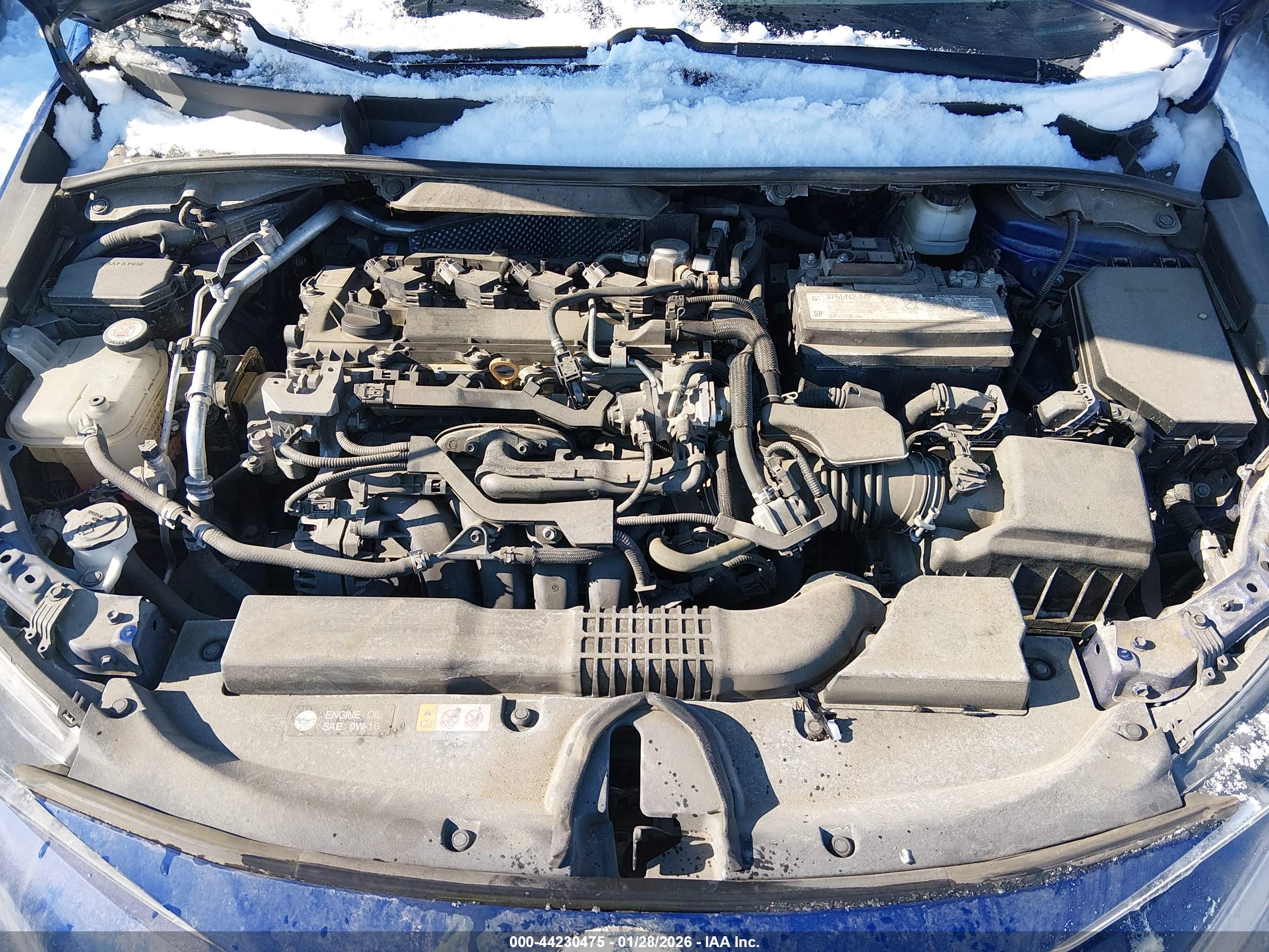TOYOTA COROLLA image 10