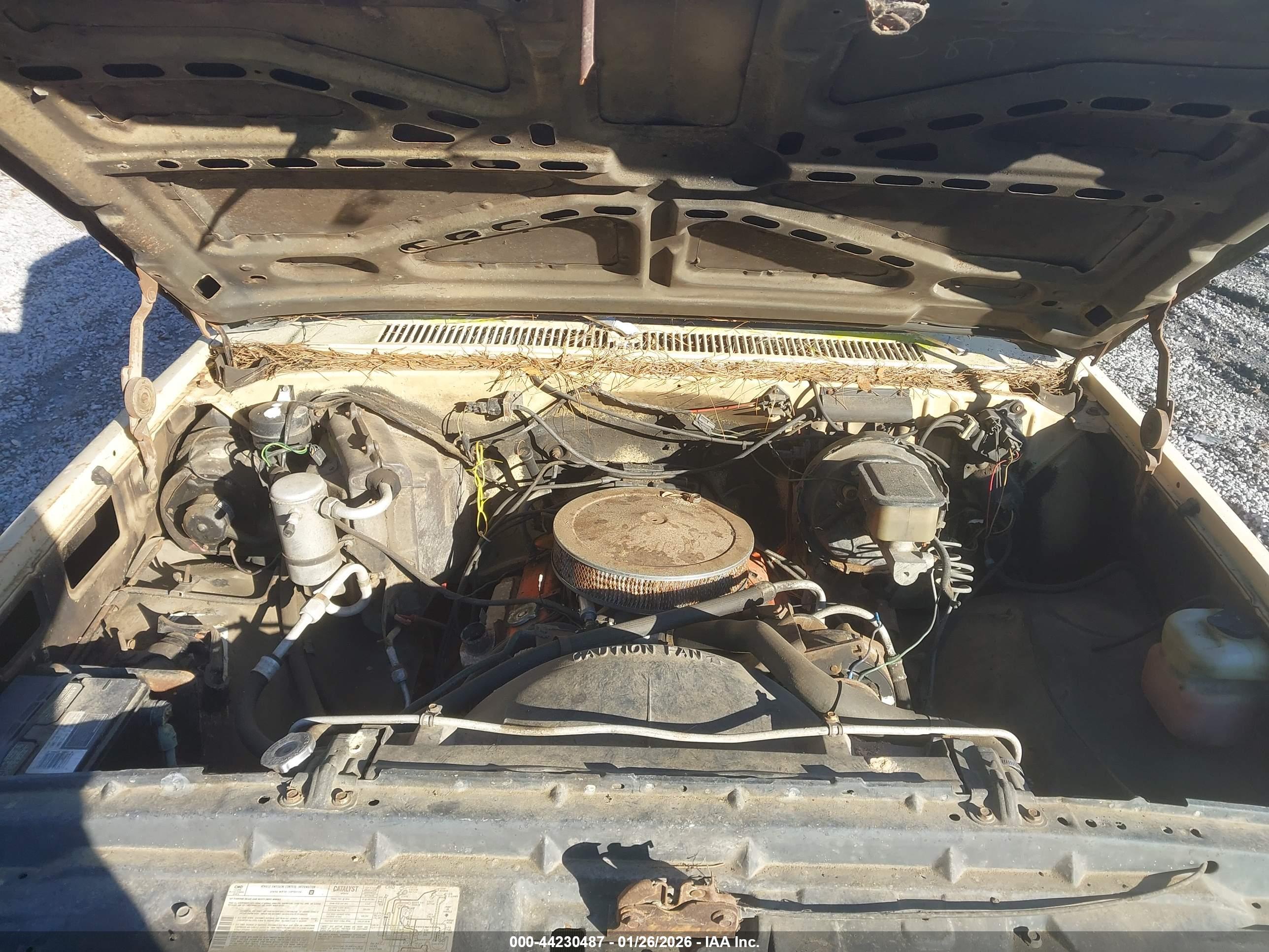 CHEVROLET C10 image 10