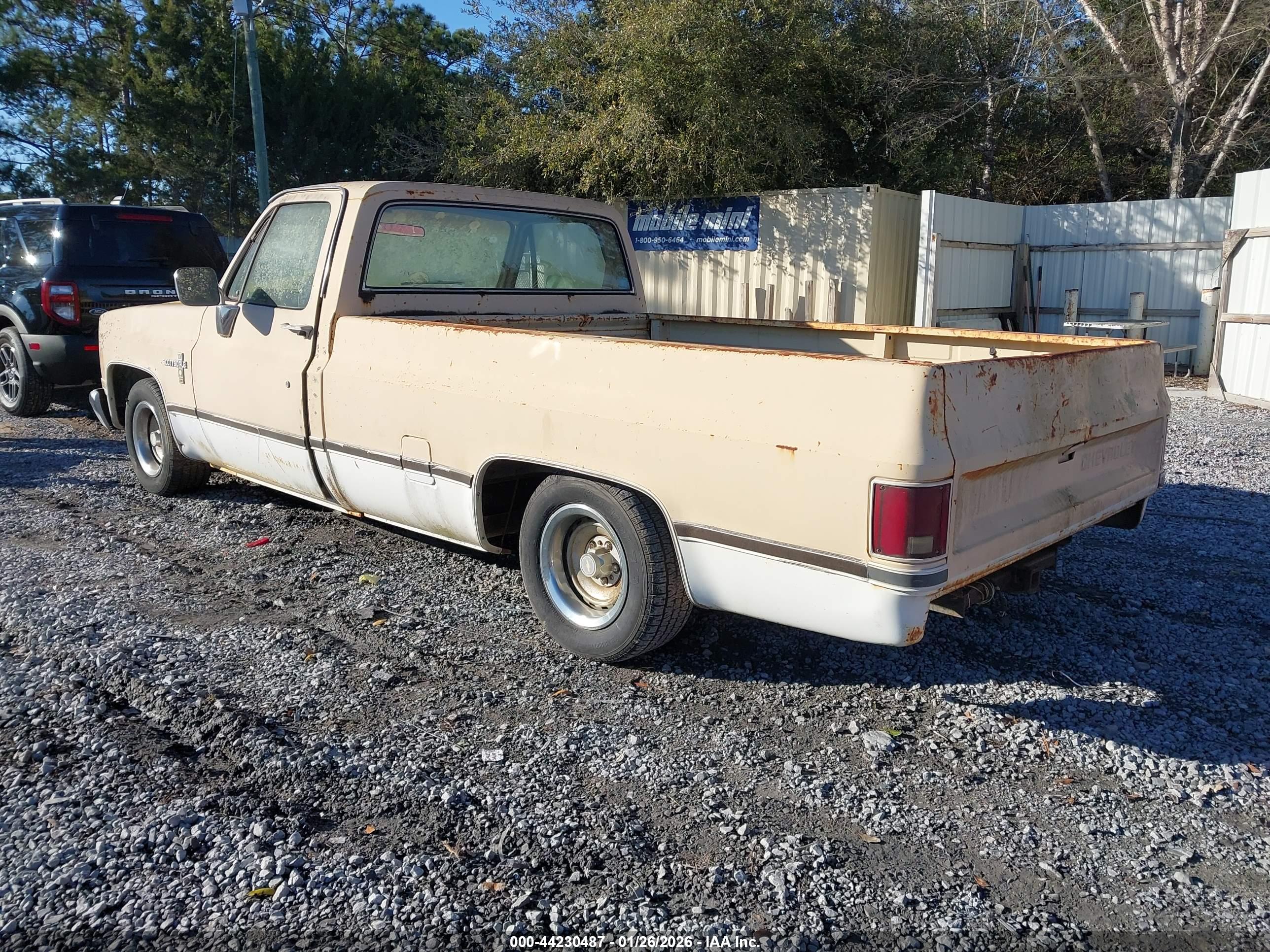 CHEVROLET C10 image 3