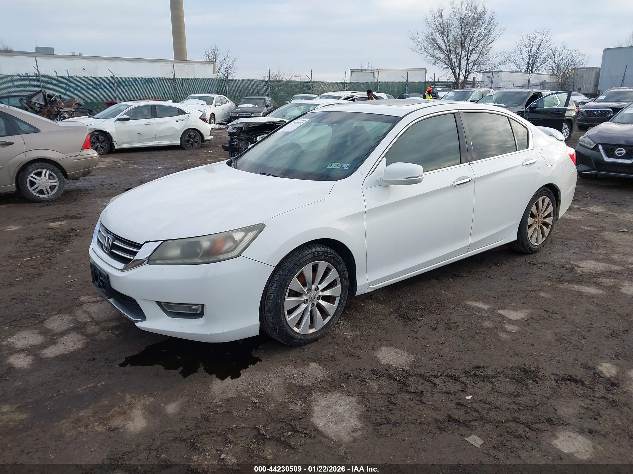 HONDA ACCORD image 2