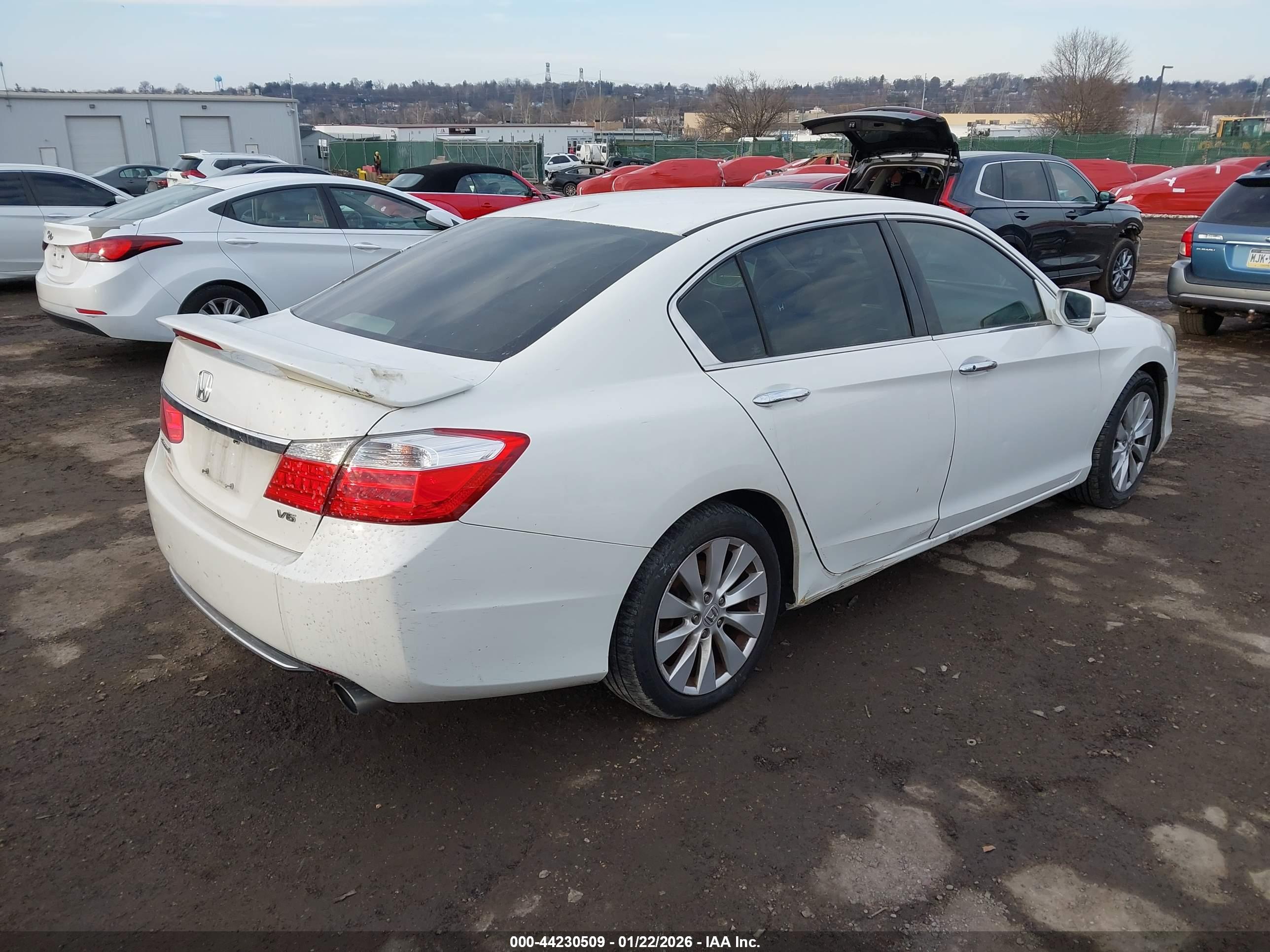 HONDA ACCORD image 4