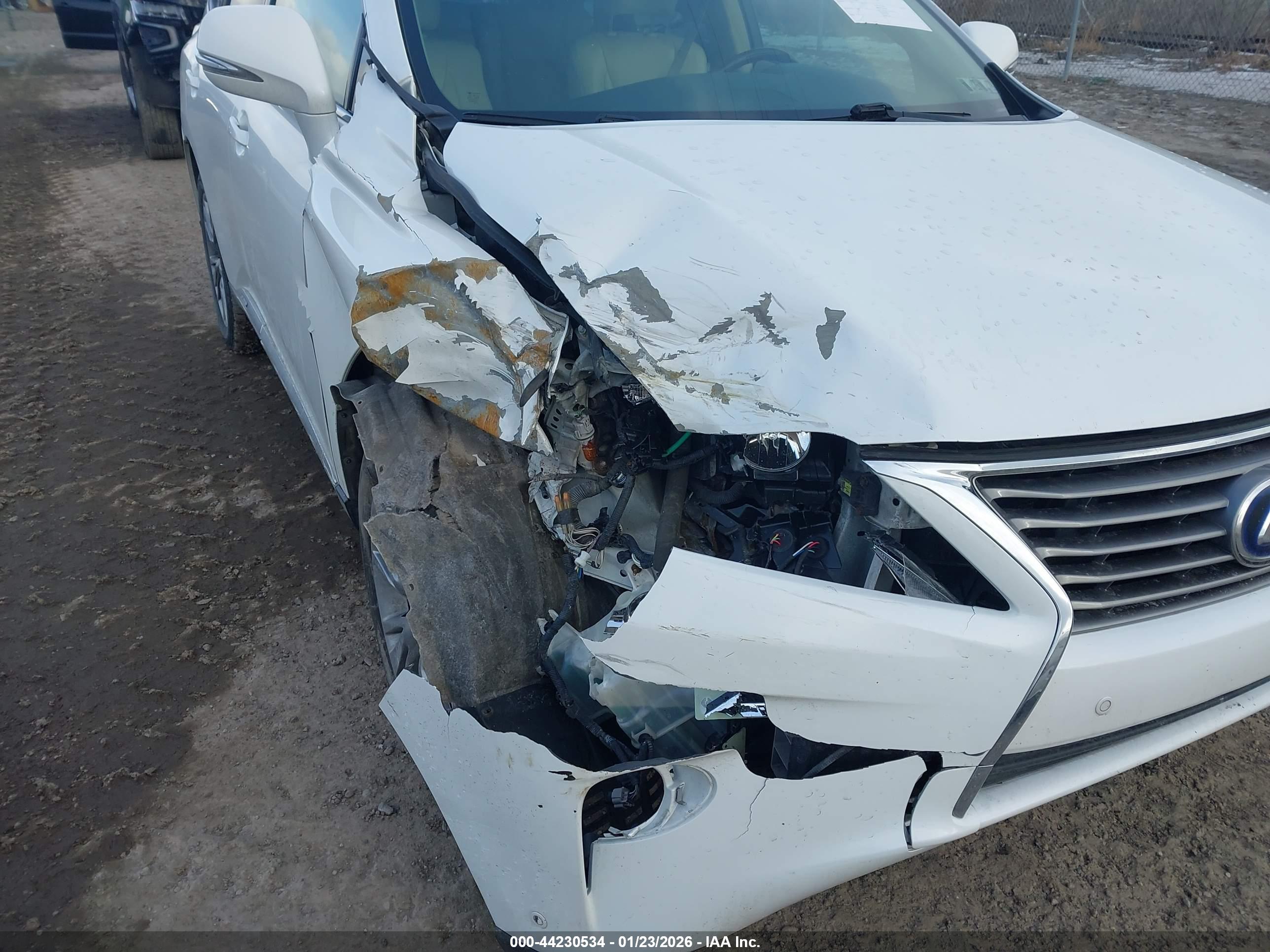 LEXUS RX image 6