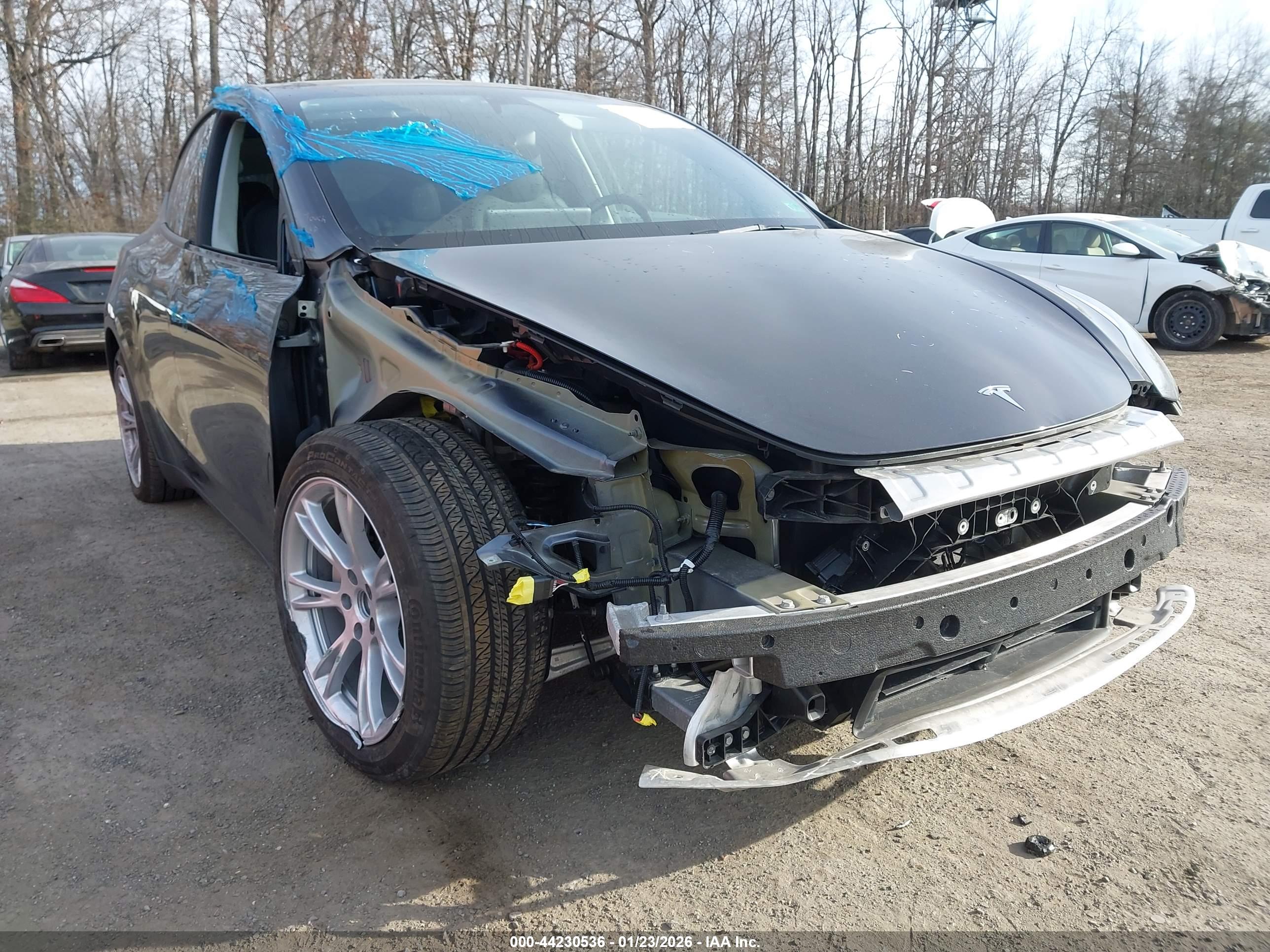 TESLA MODEL image 6