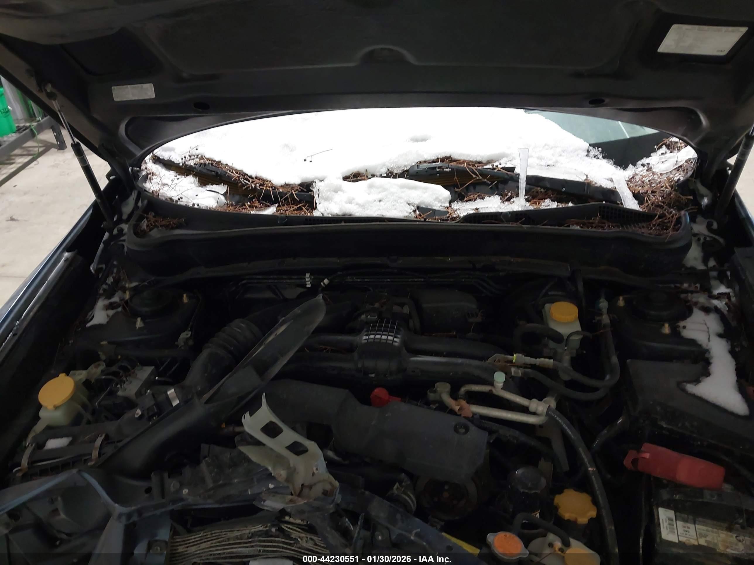 SUBARU FORESTER image 10