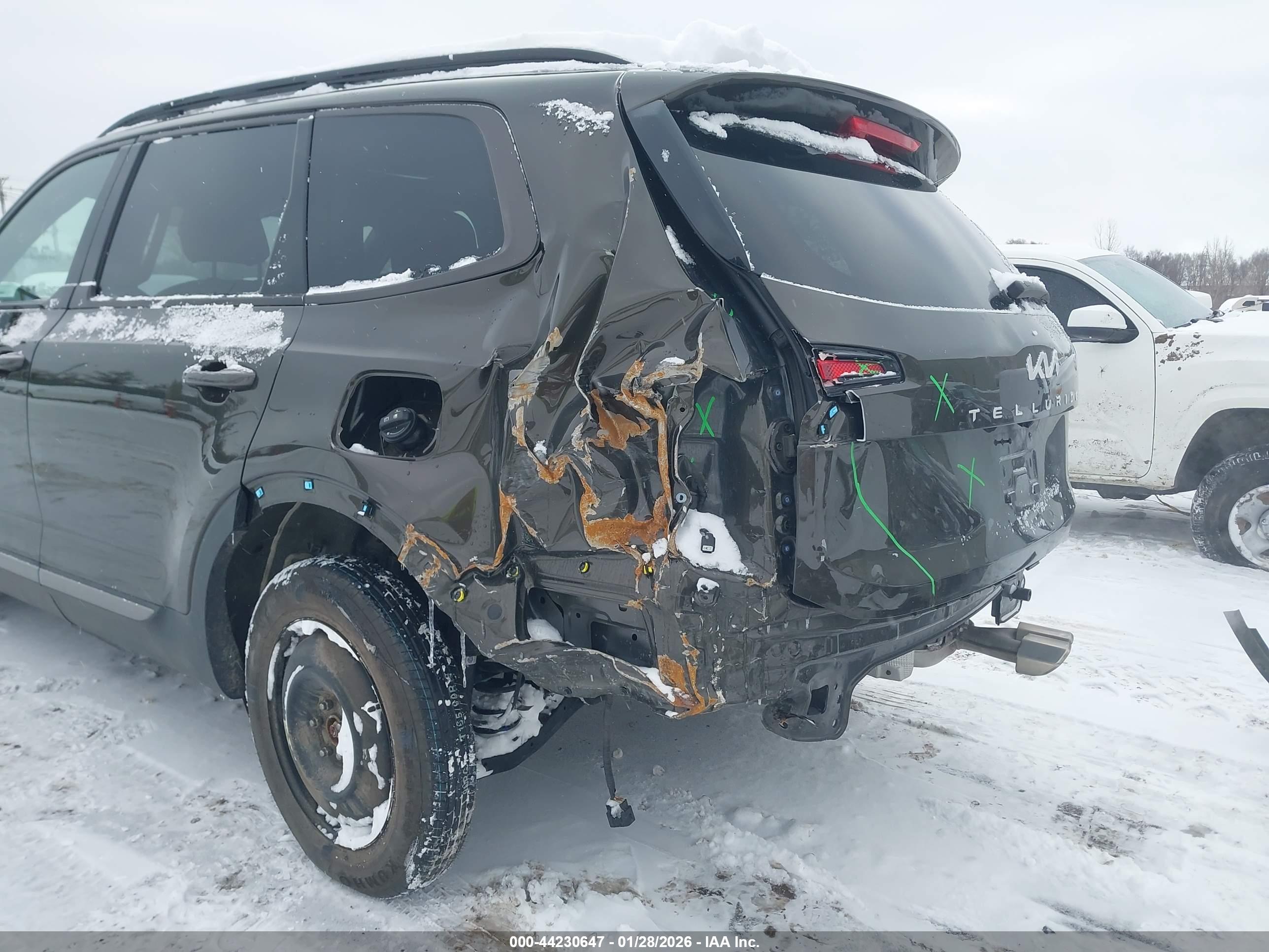 KIA TELLURIDE image 6