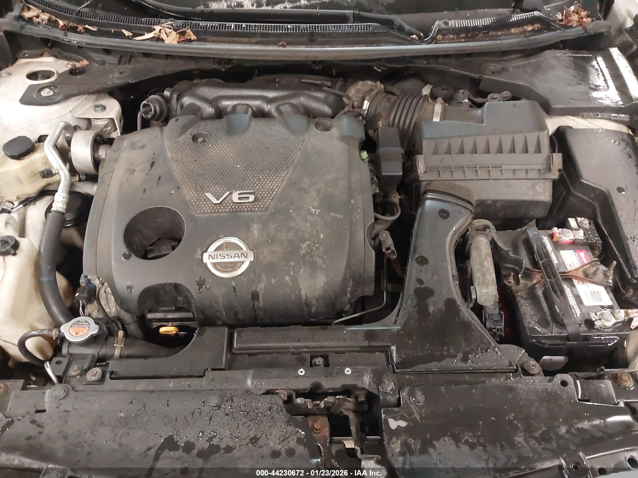 NISSAN MAXIMA image 10