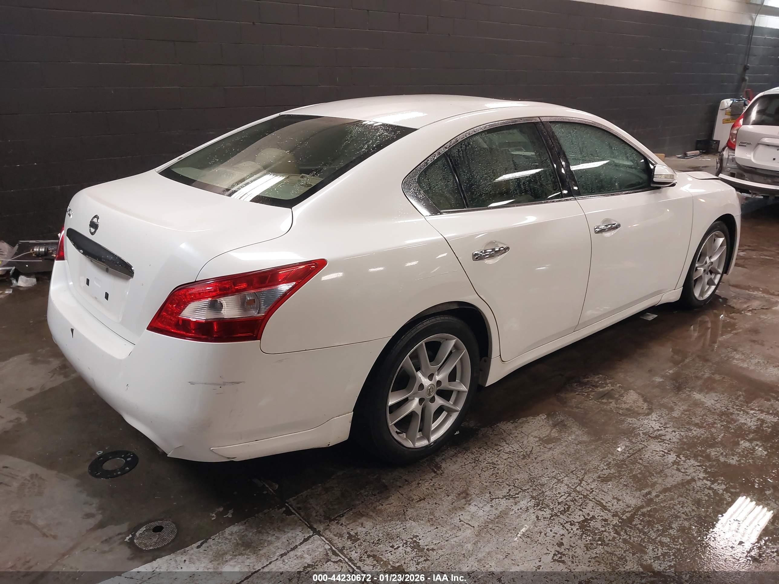 NISSAN MAXIMA image 4