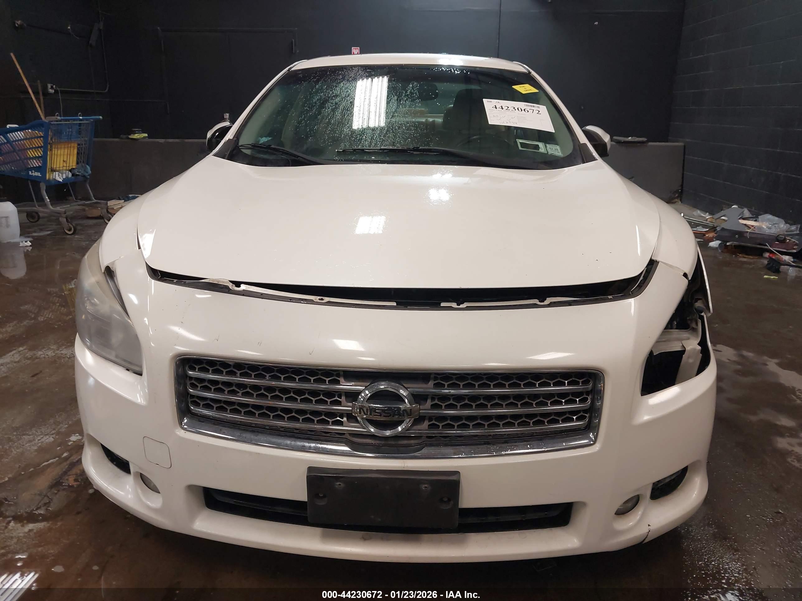 NISSAN MAXIMA image 6