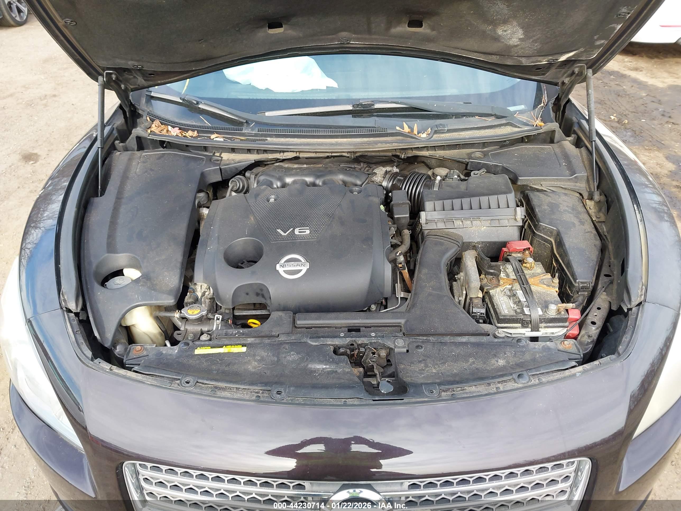 NISSAN MAXIMA image 10