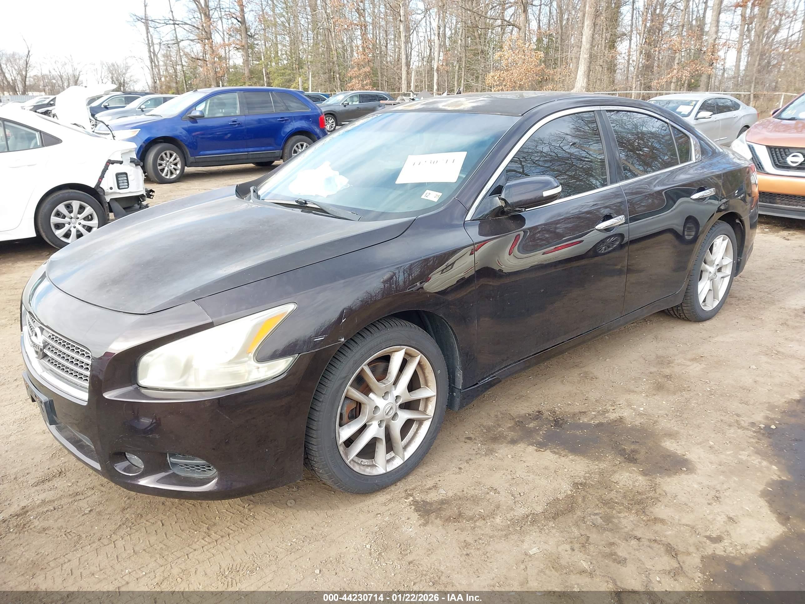 NISSAN MAXIMA image 2