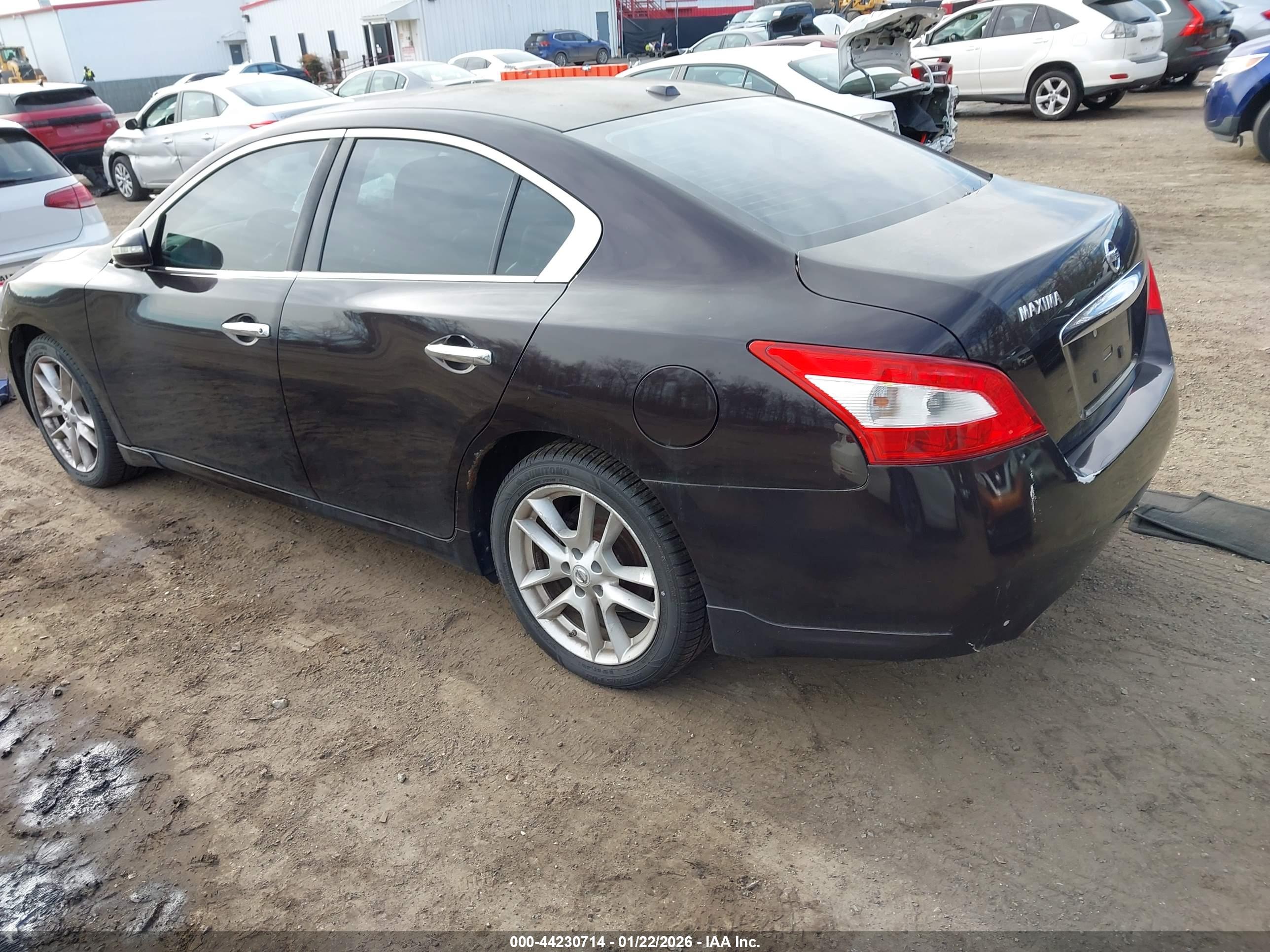 NISSAN MAXIMA image 3