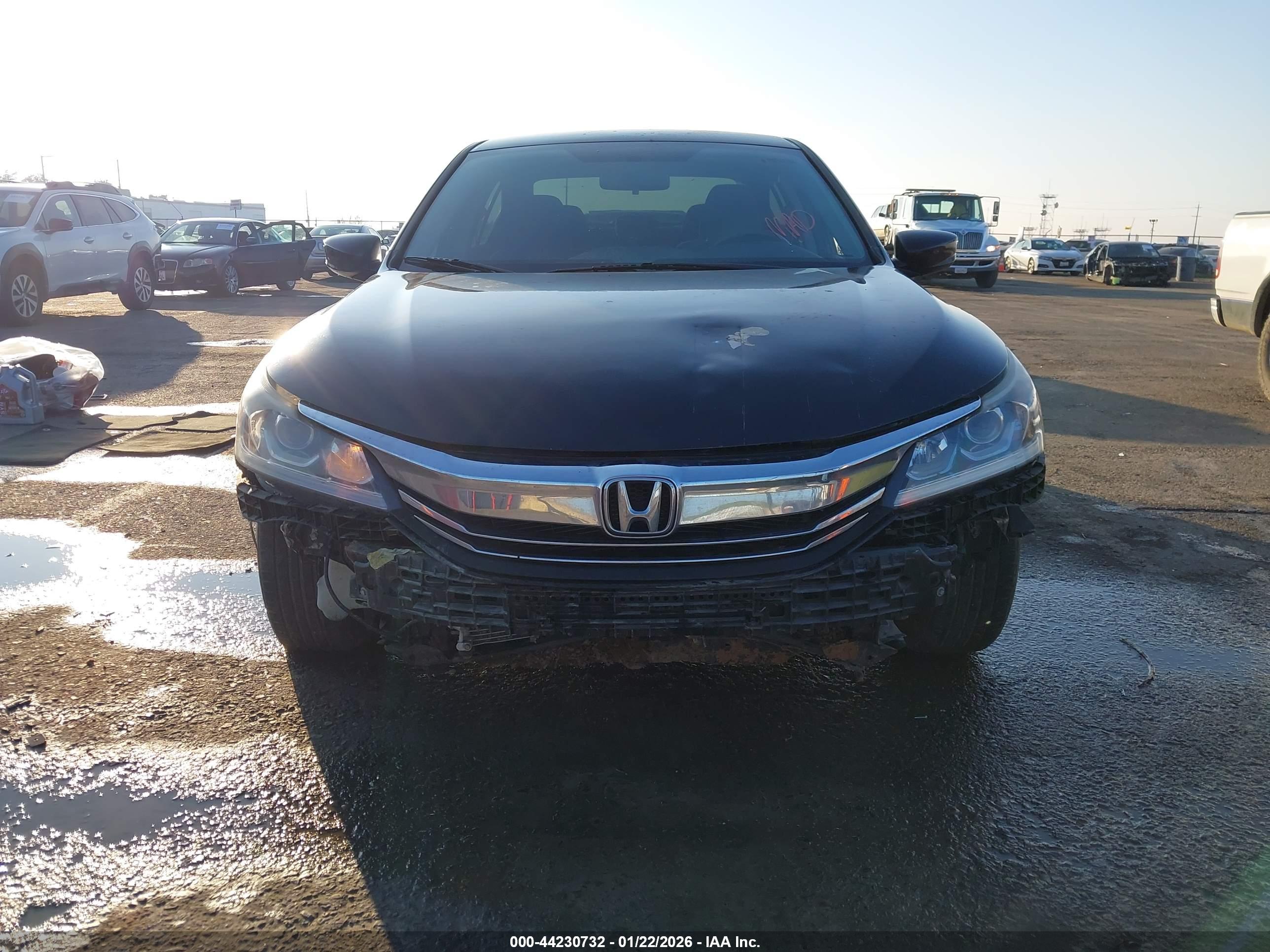 HONDA ACCORD image 6