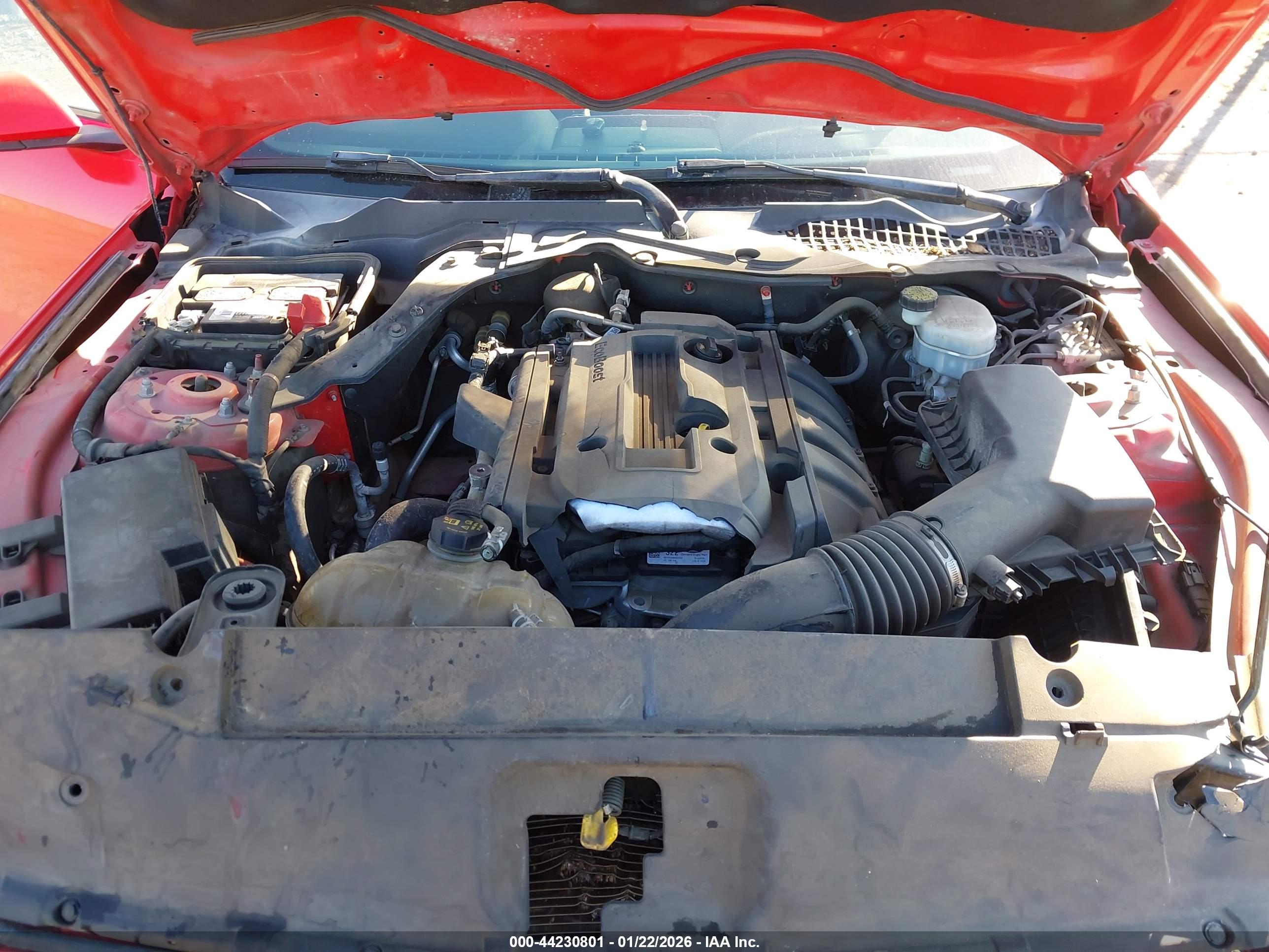 FORD MUSTANG image 10