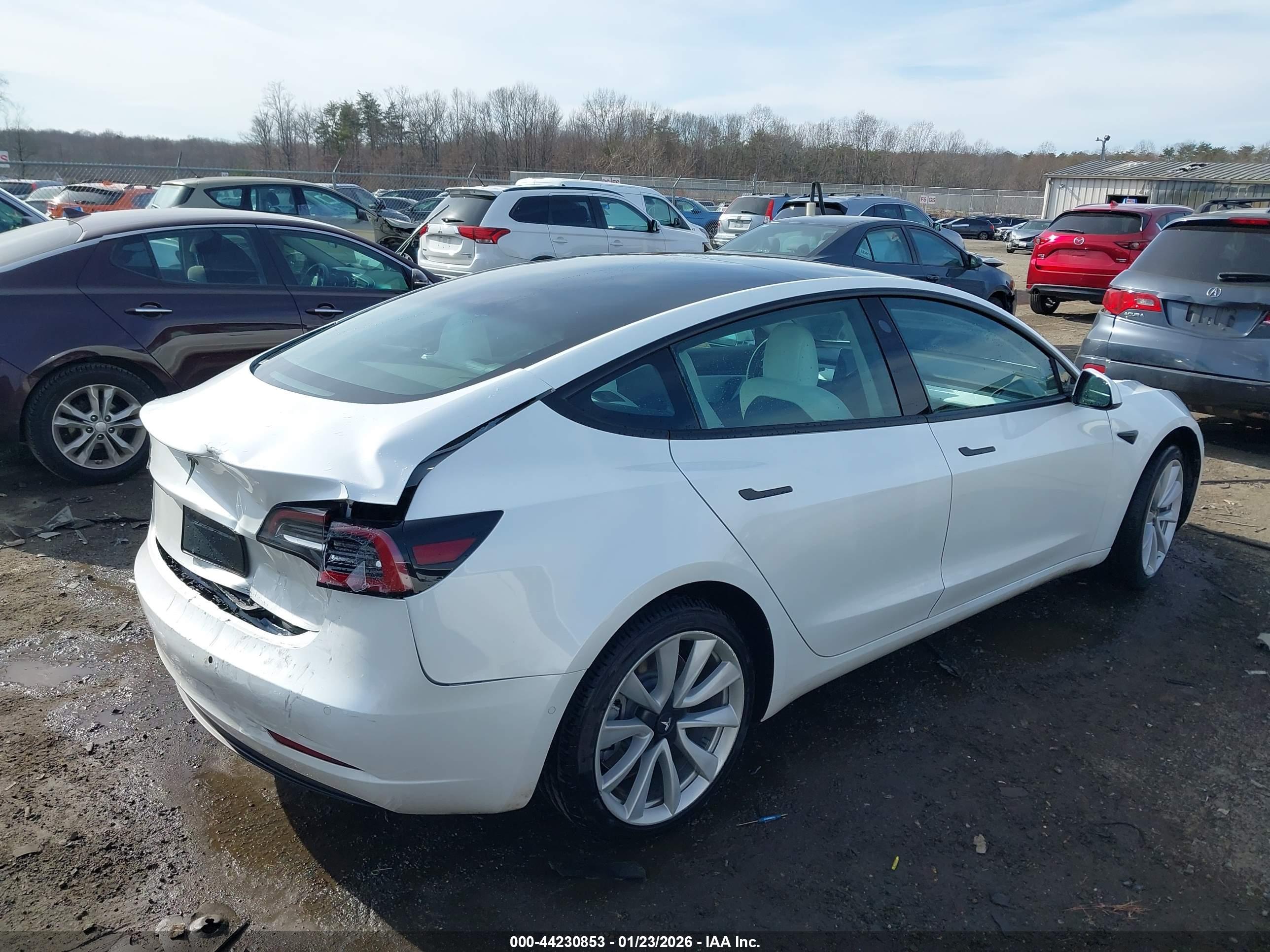 TESLA MODEL image 4
