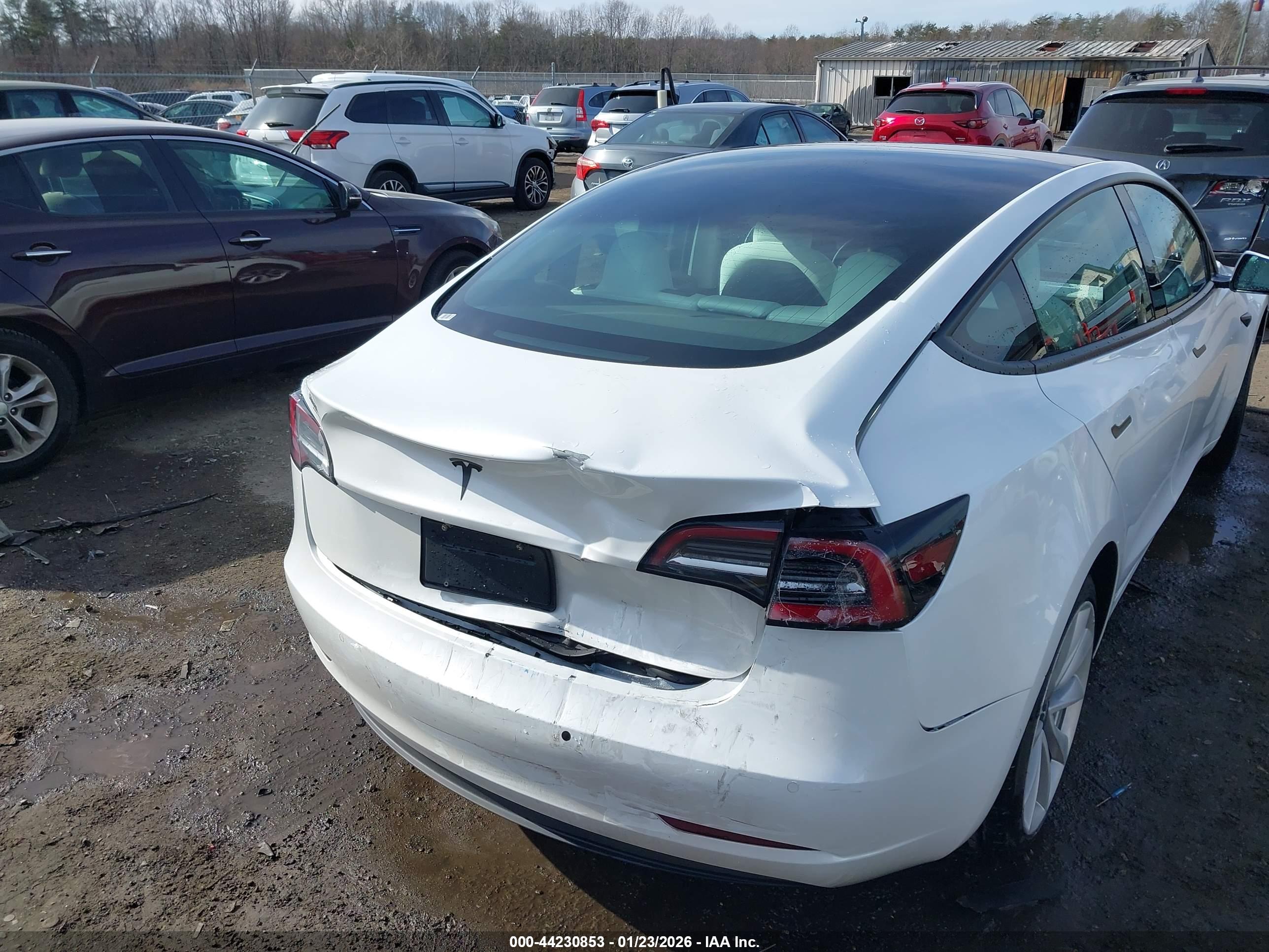 TESLA MODEL image 6