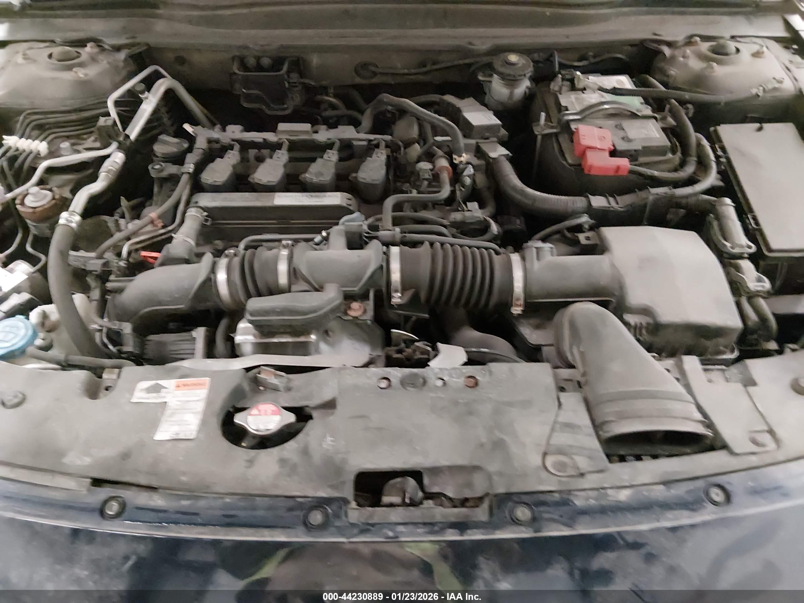 HONDA ACCORD image 10