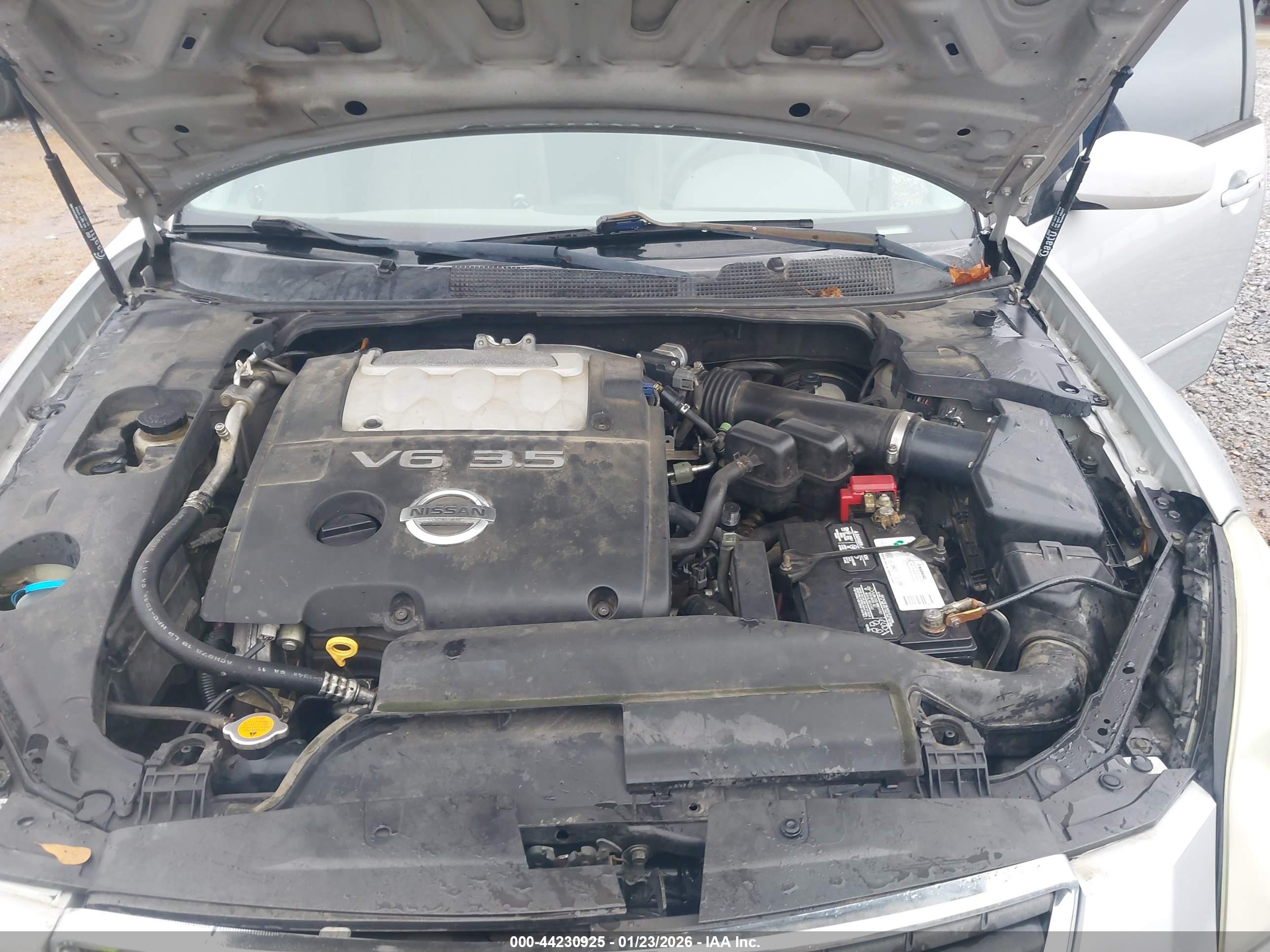 NISSAN MAXIMA image 10