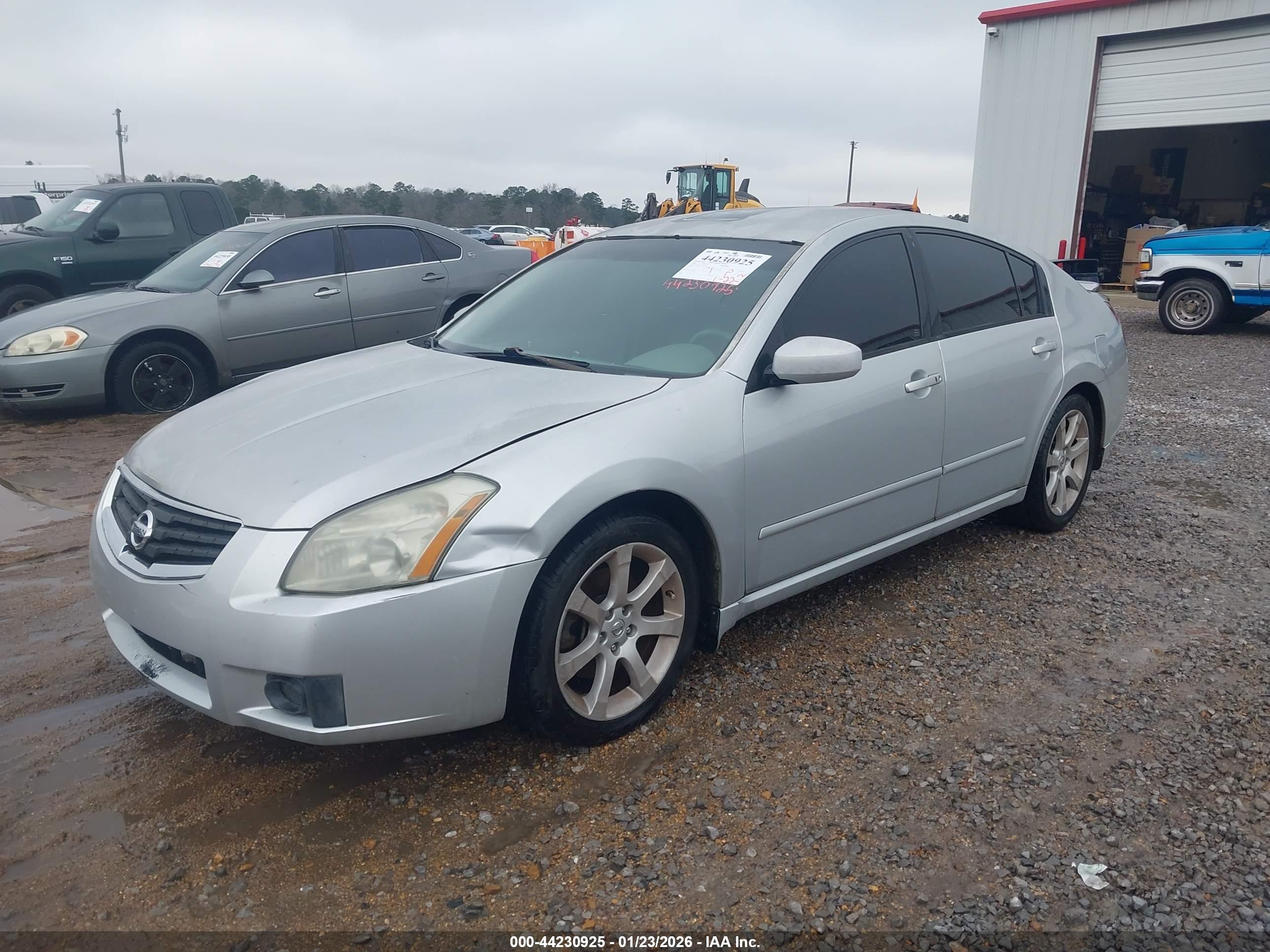 NISSAN MAXIMA image 2