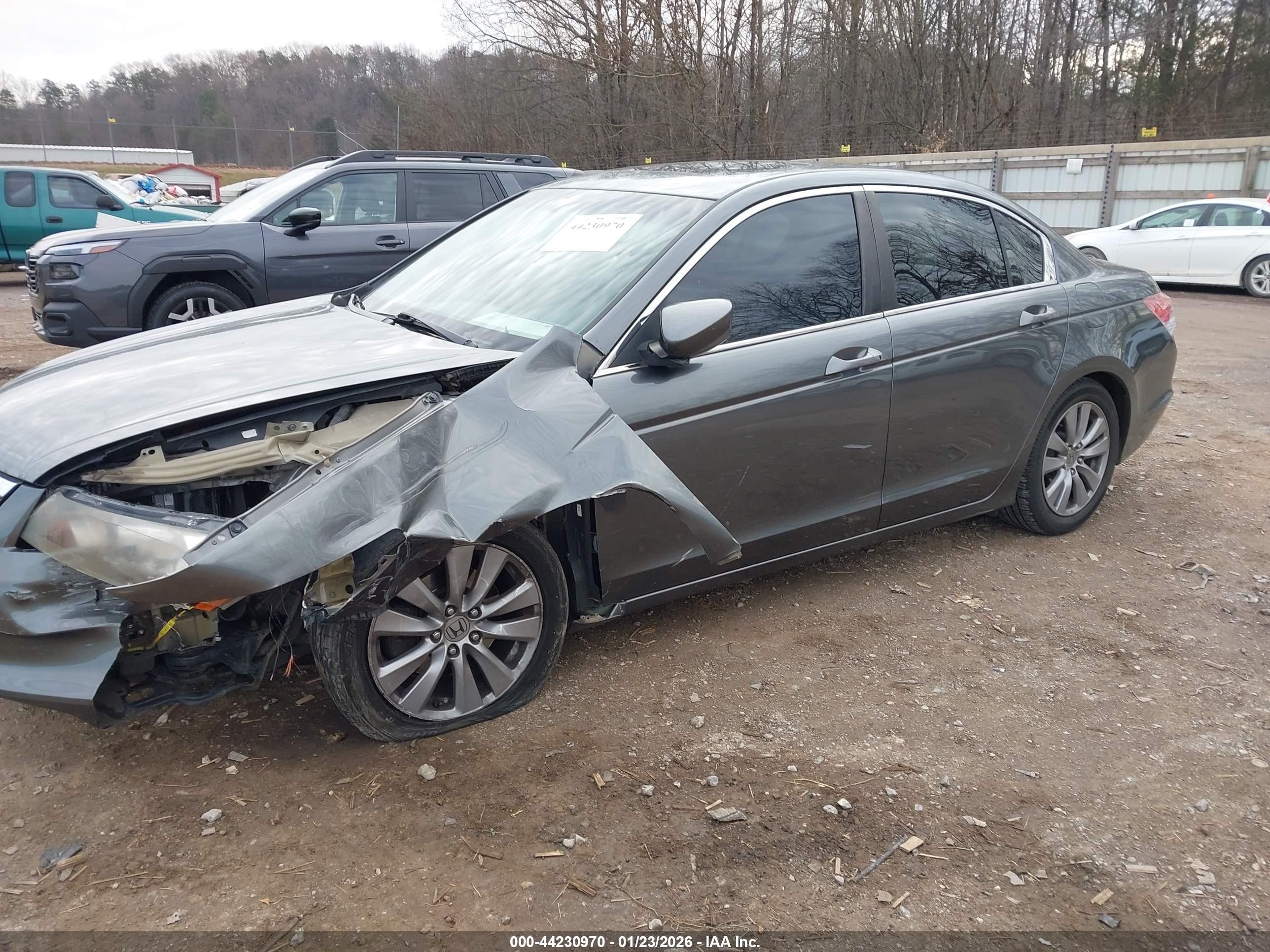 HONDA ACCORD image 2