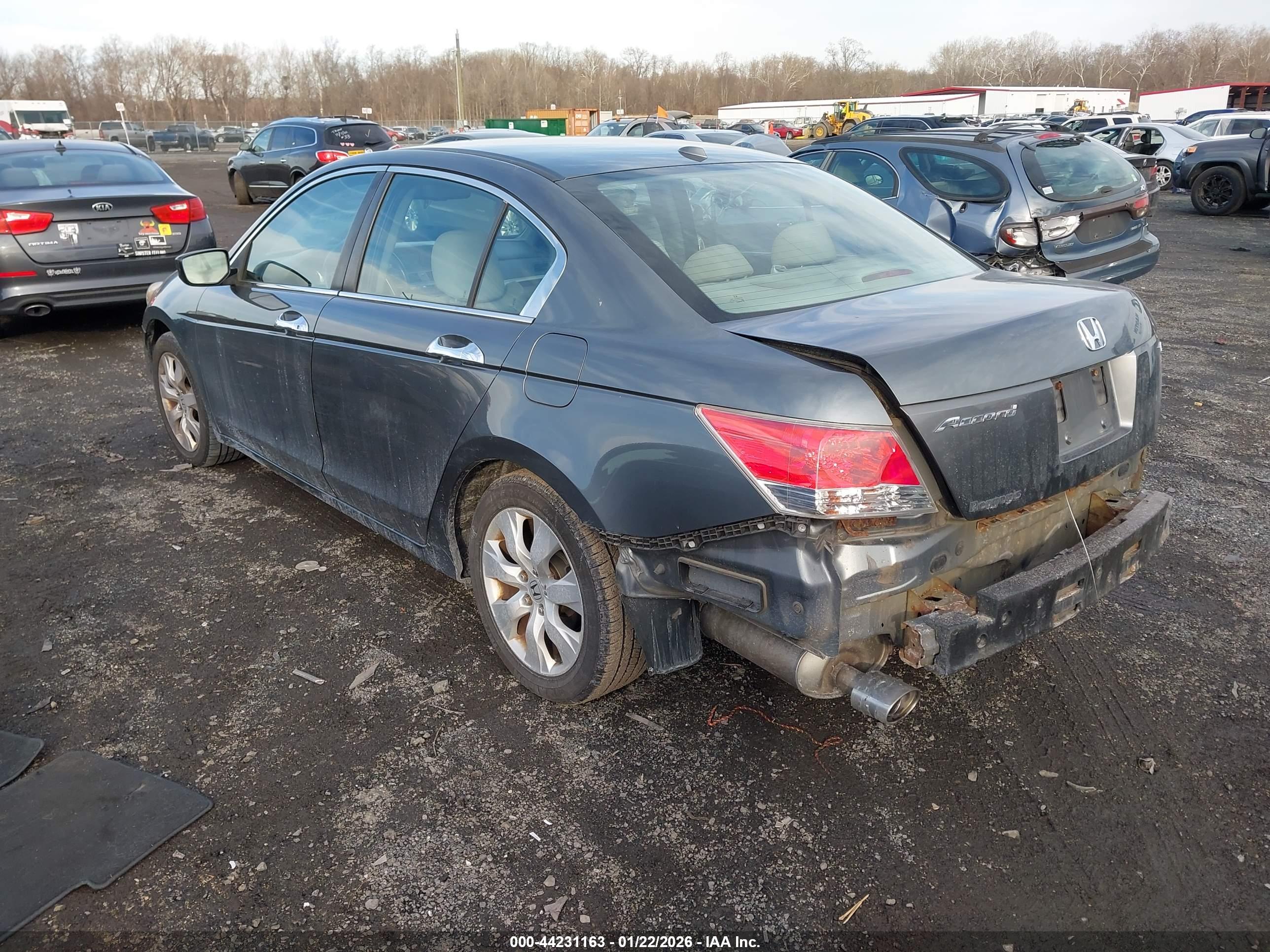 HONDA ACCORD image 3