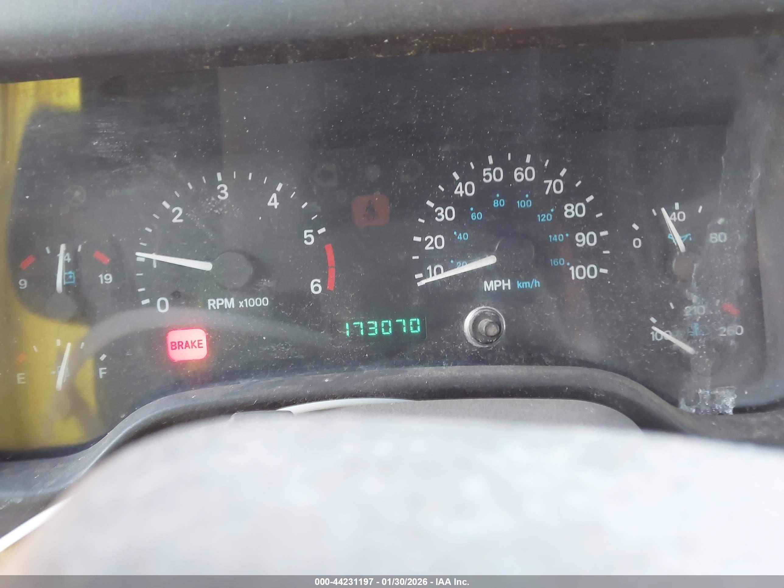 JEEP WRANGLER image 7
