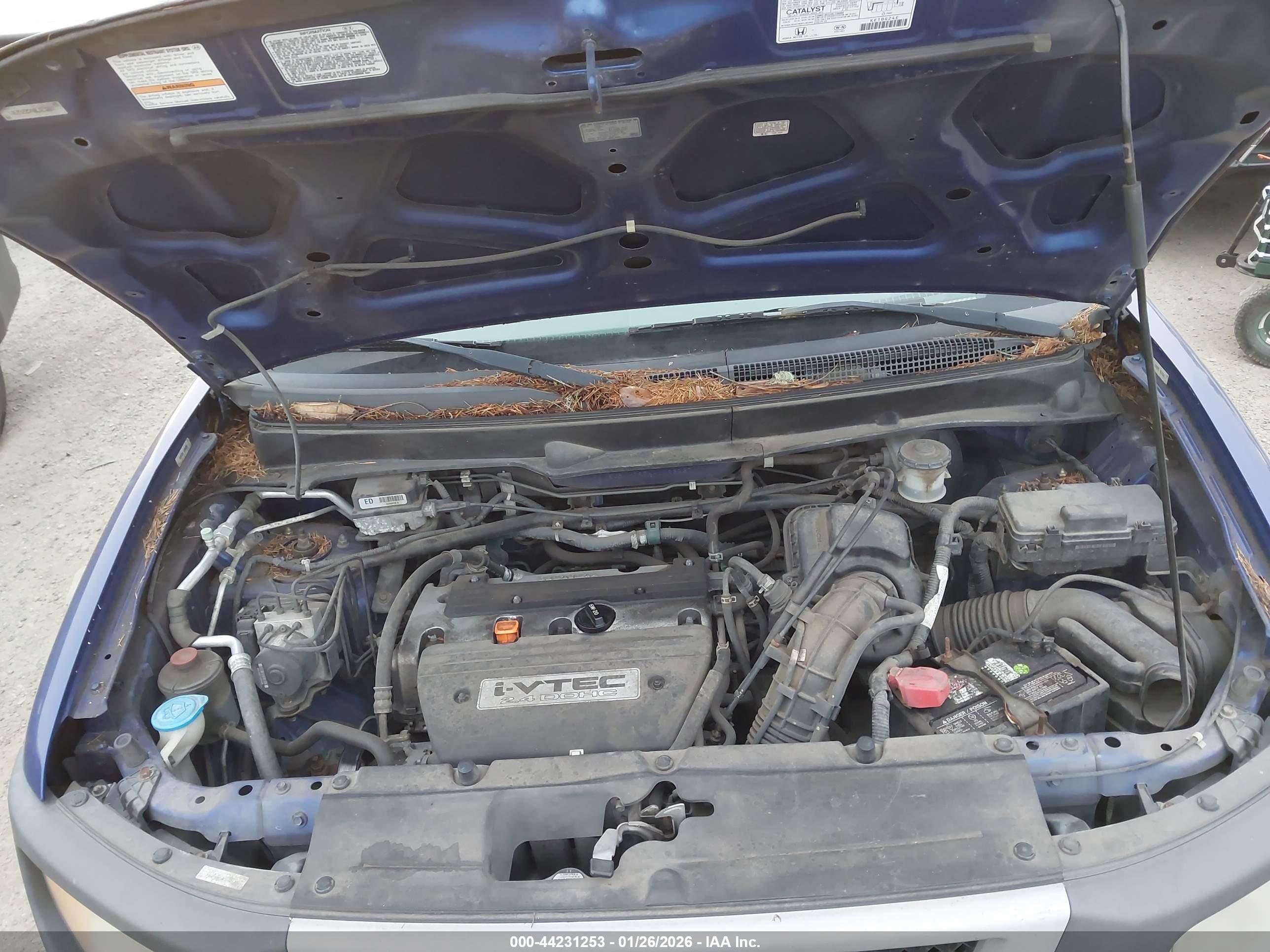 HONDA ELEMENT image 10