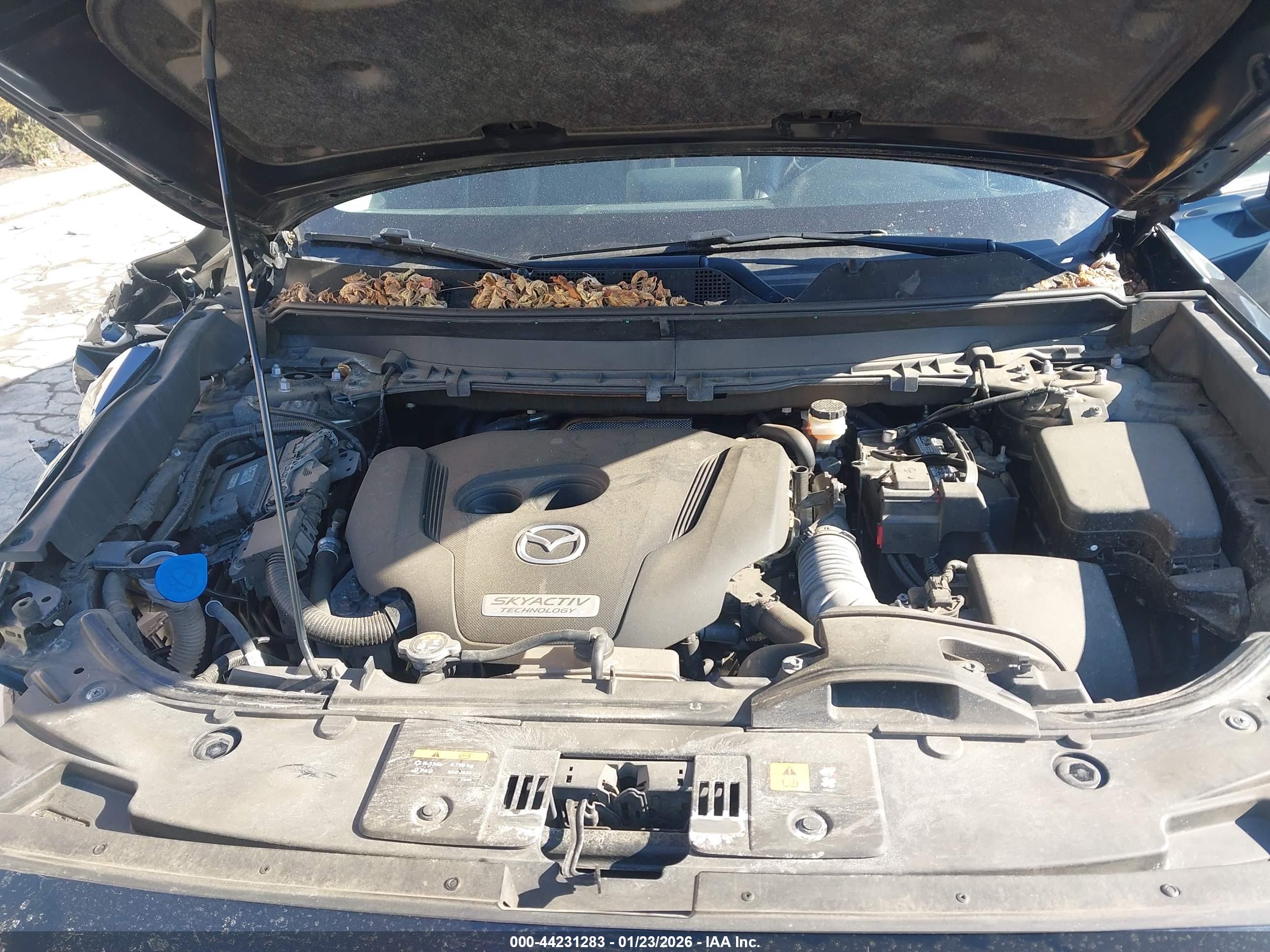MAZDA CX-9 image 10