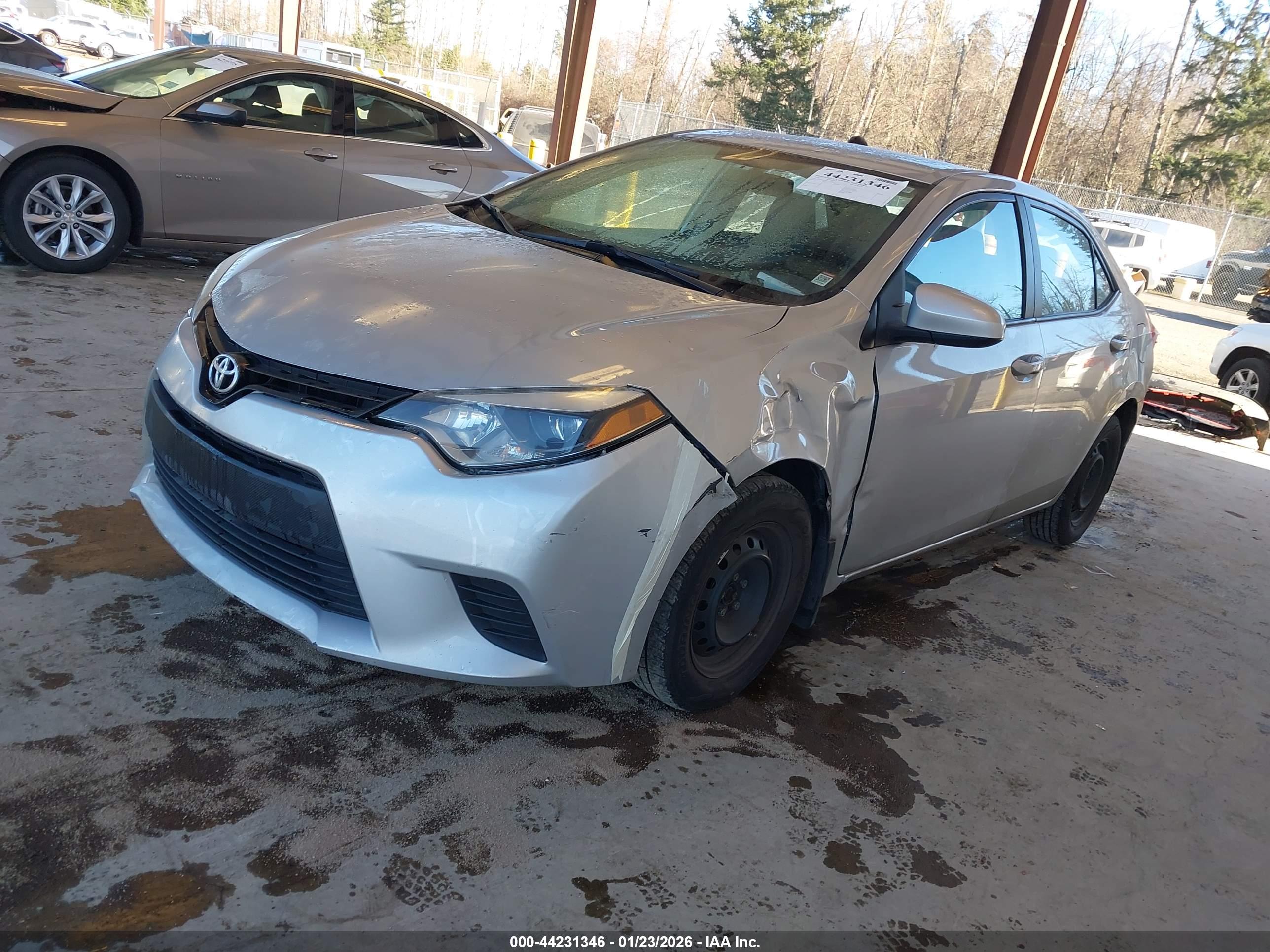 TOYOTA COROLLA image 2