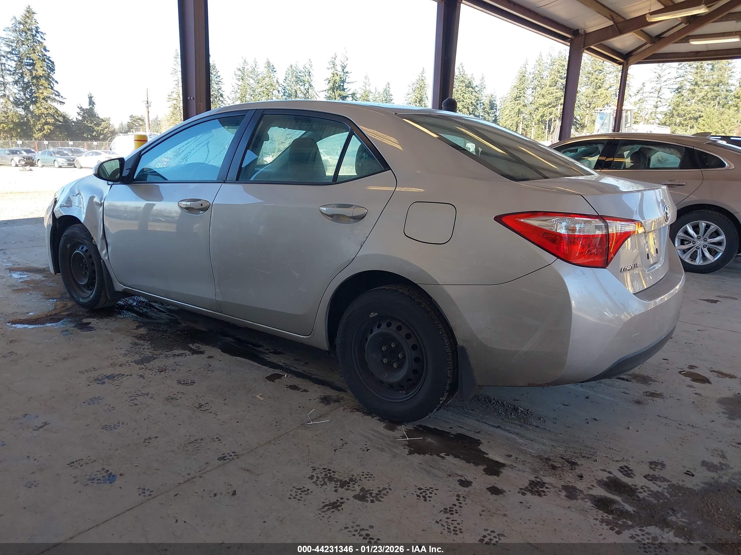 TOYOTA COROLLA image 3