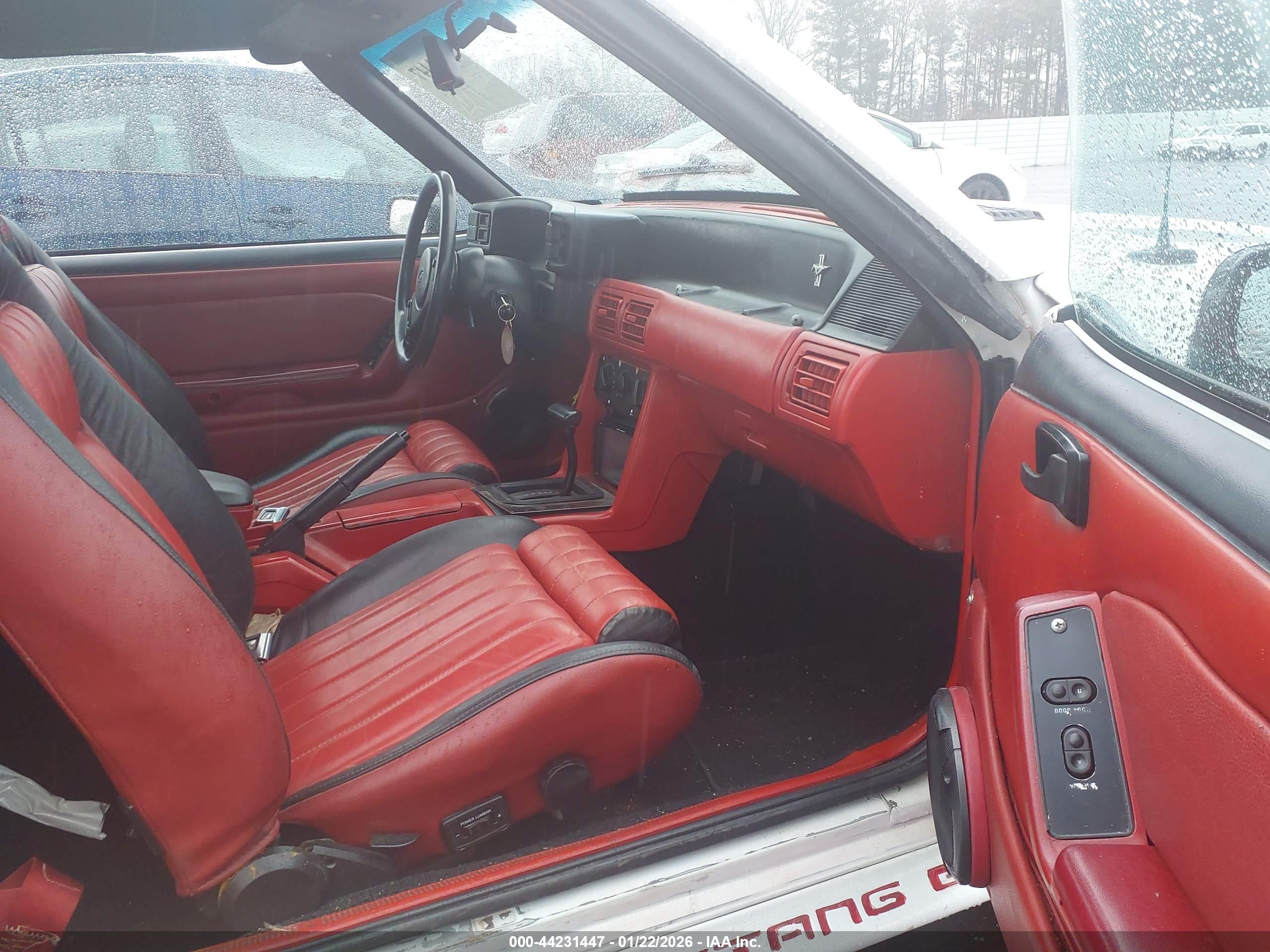 FORD MUSTANG image 5