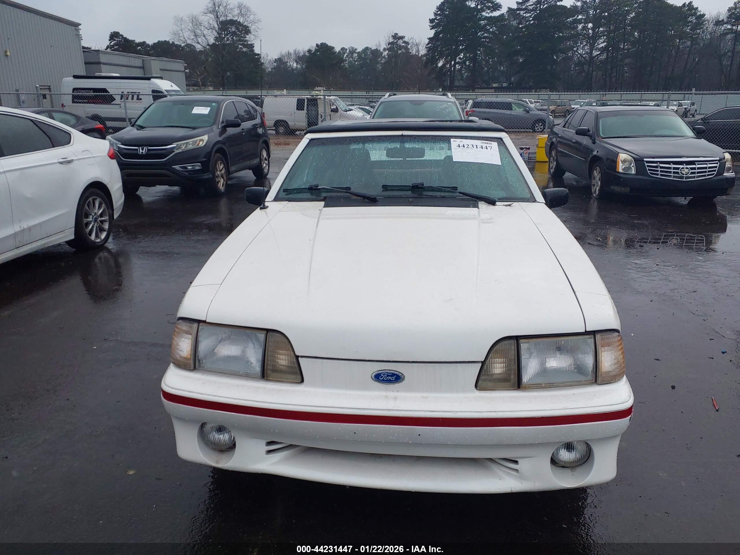 FORD MUSTANG image 6
