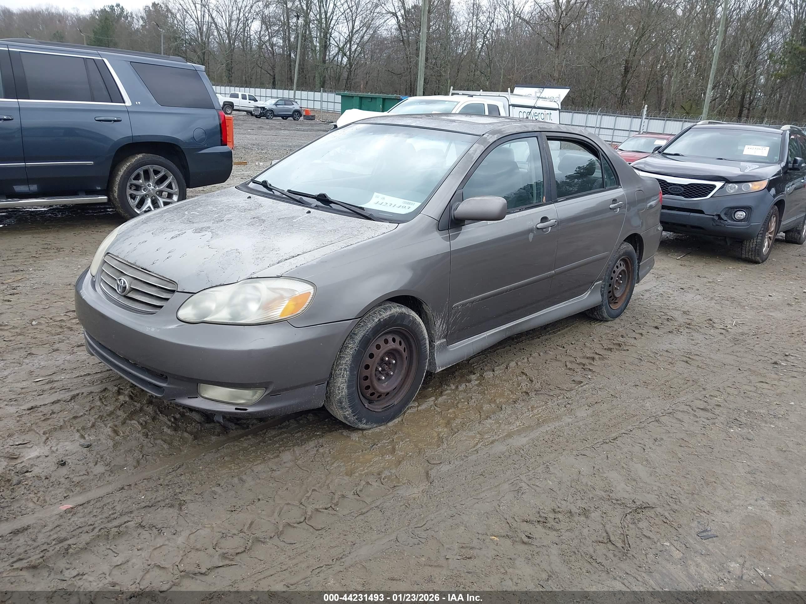 TOYOTA COROLLA image 2