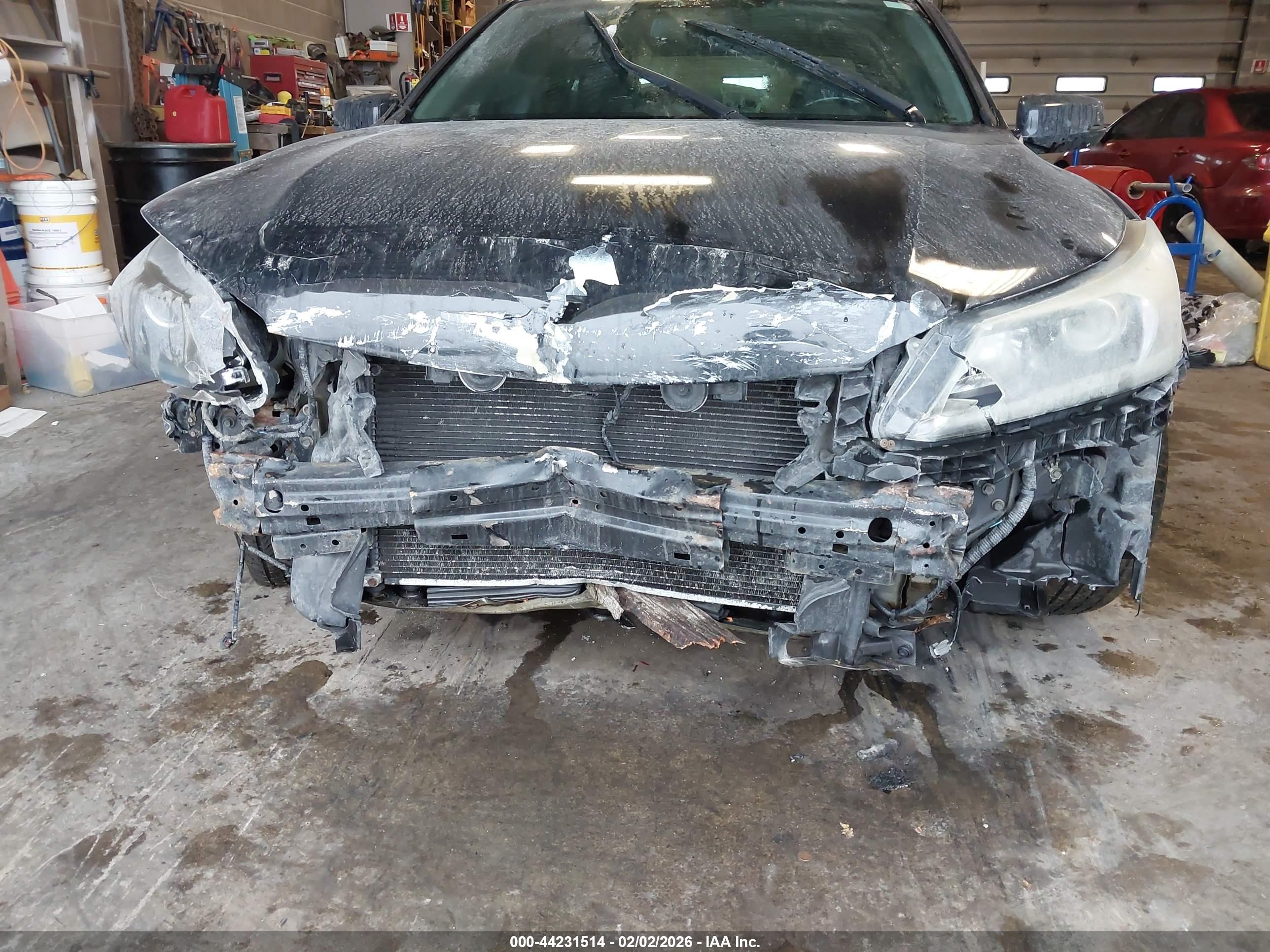 HONDA ACCORD image 6