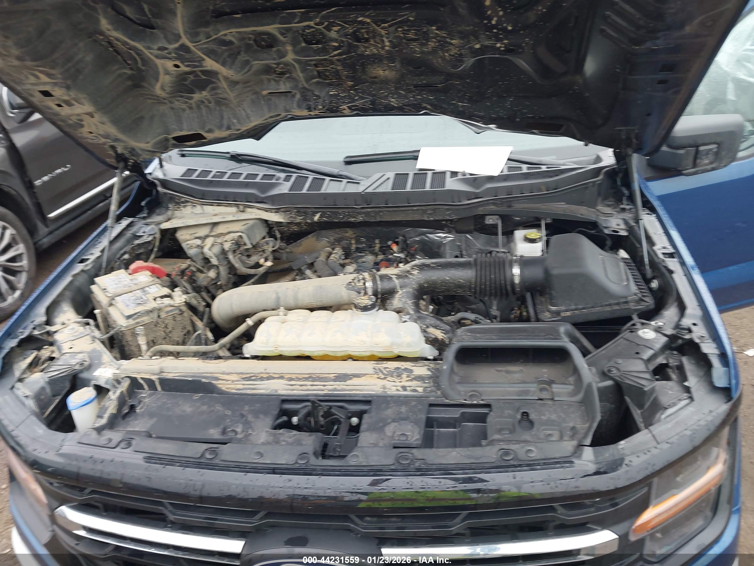 FORD F-150 image 10