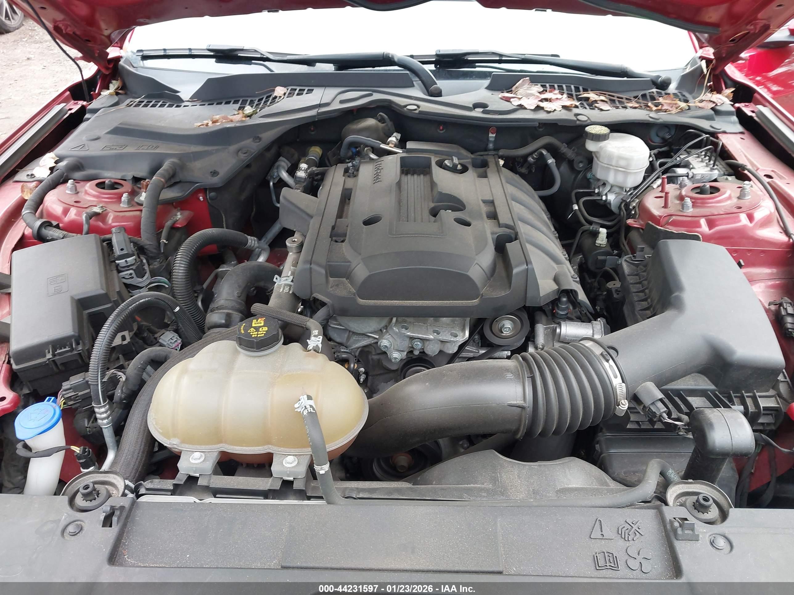 FORD MUSTANG image 10