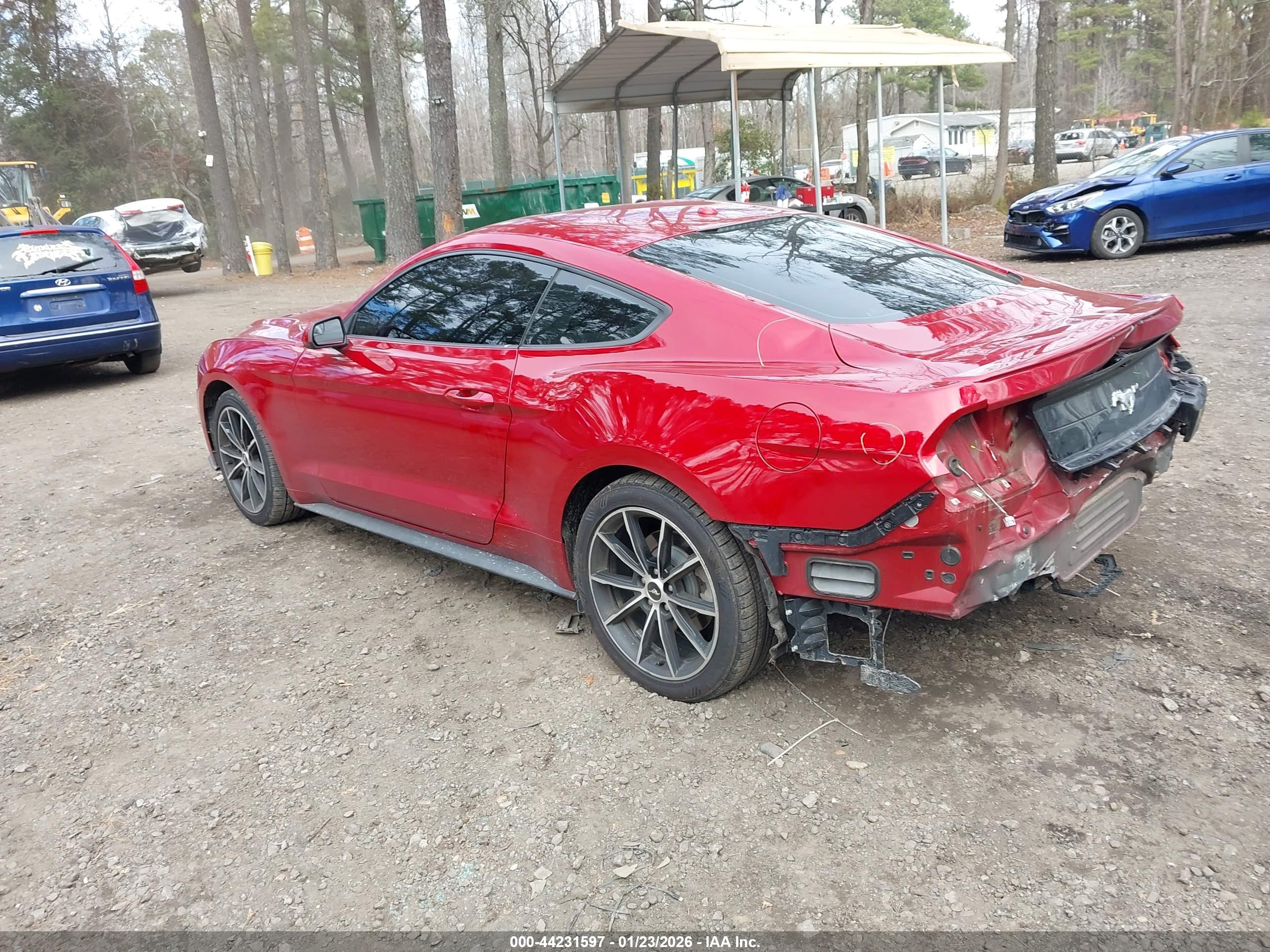 FORD MUSTANG image 3