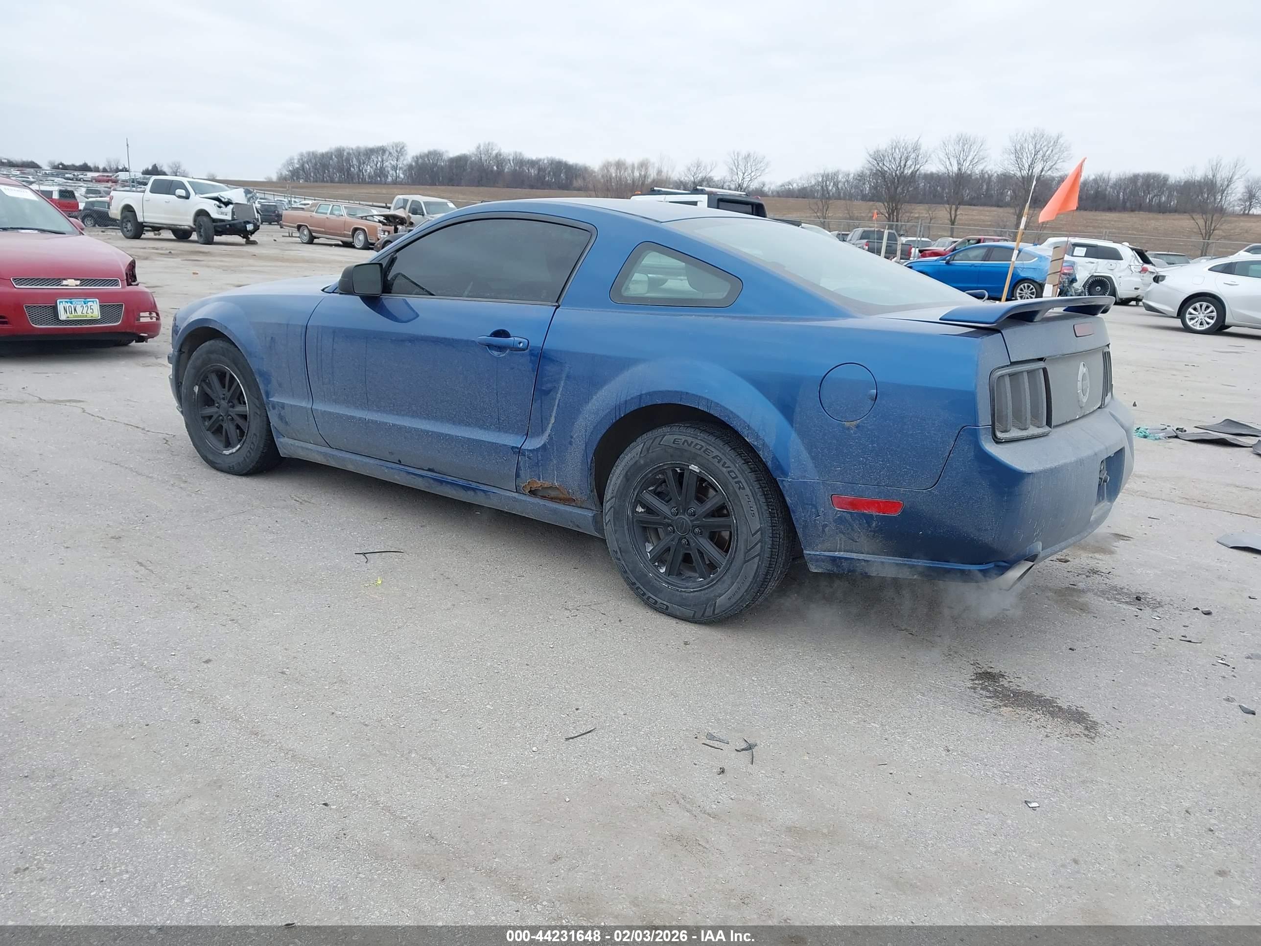 FORD MUSTANG image 3