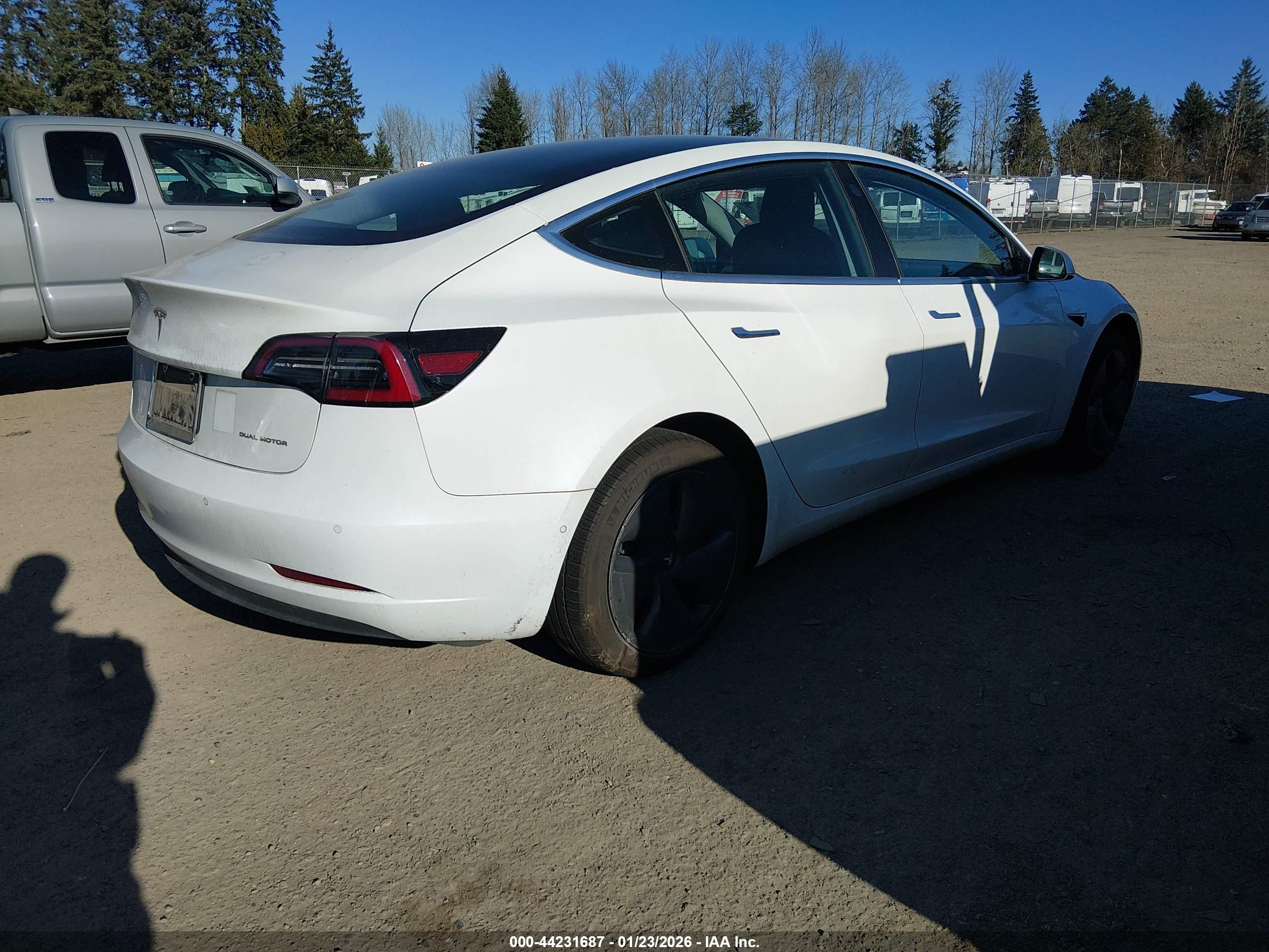 TESLA MODEL image 4