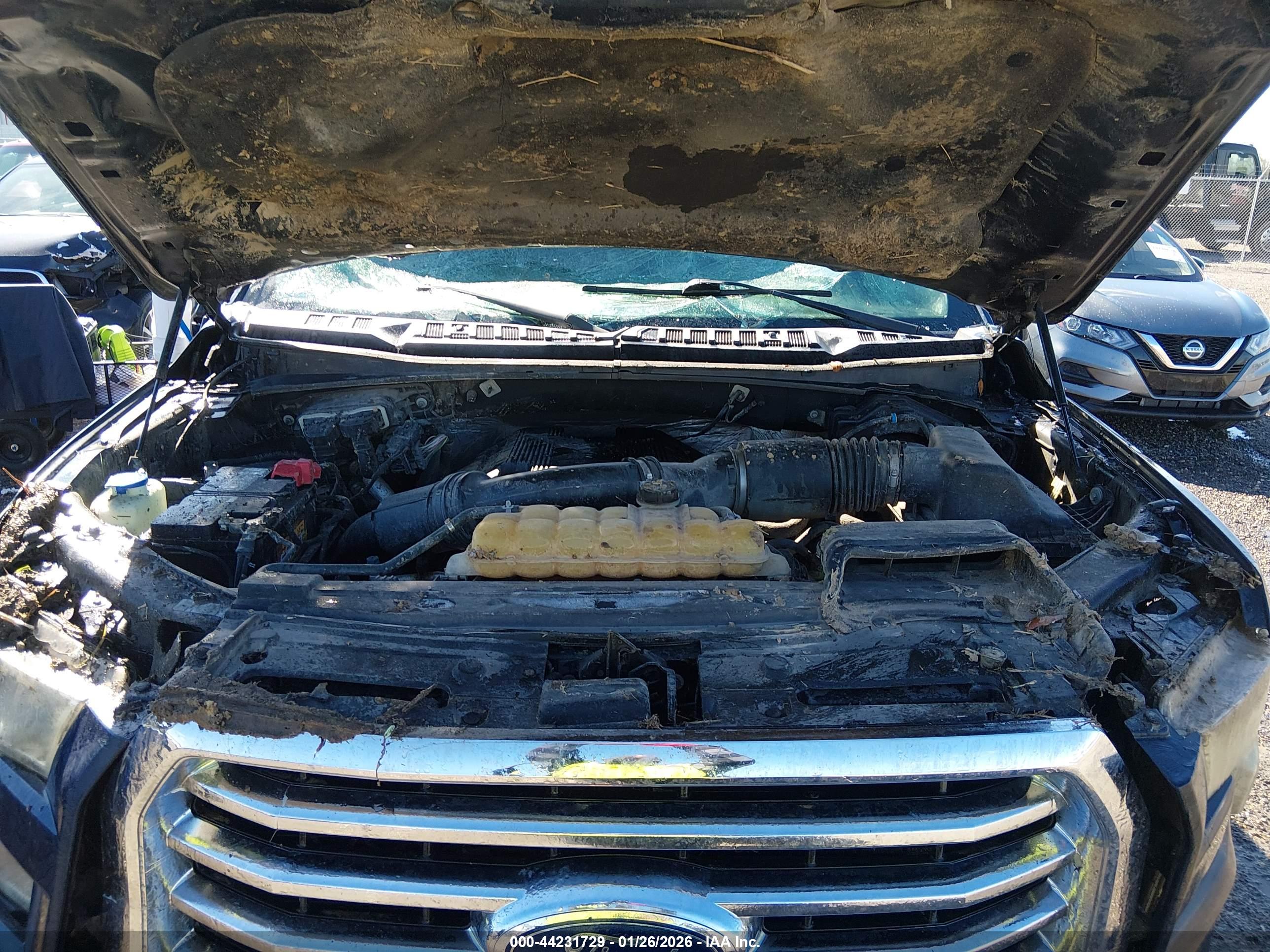 FORD F-150 image 10