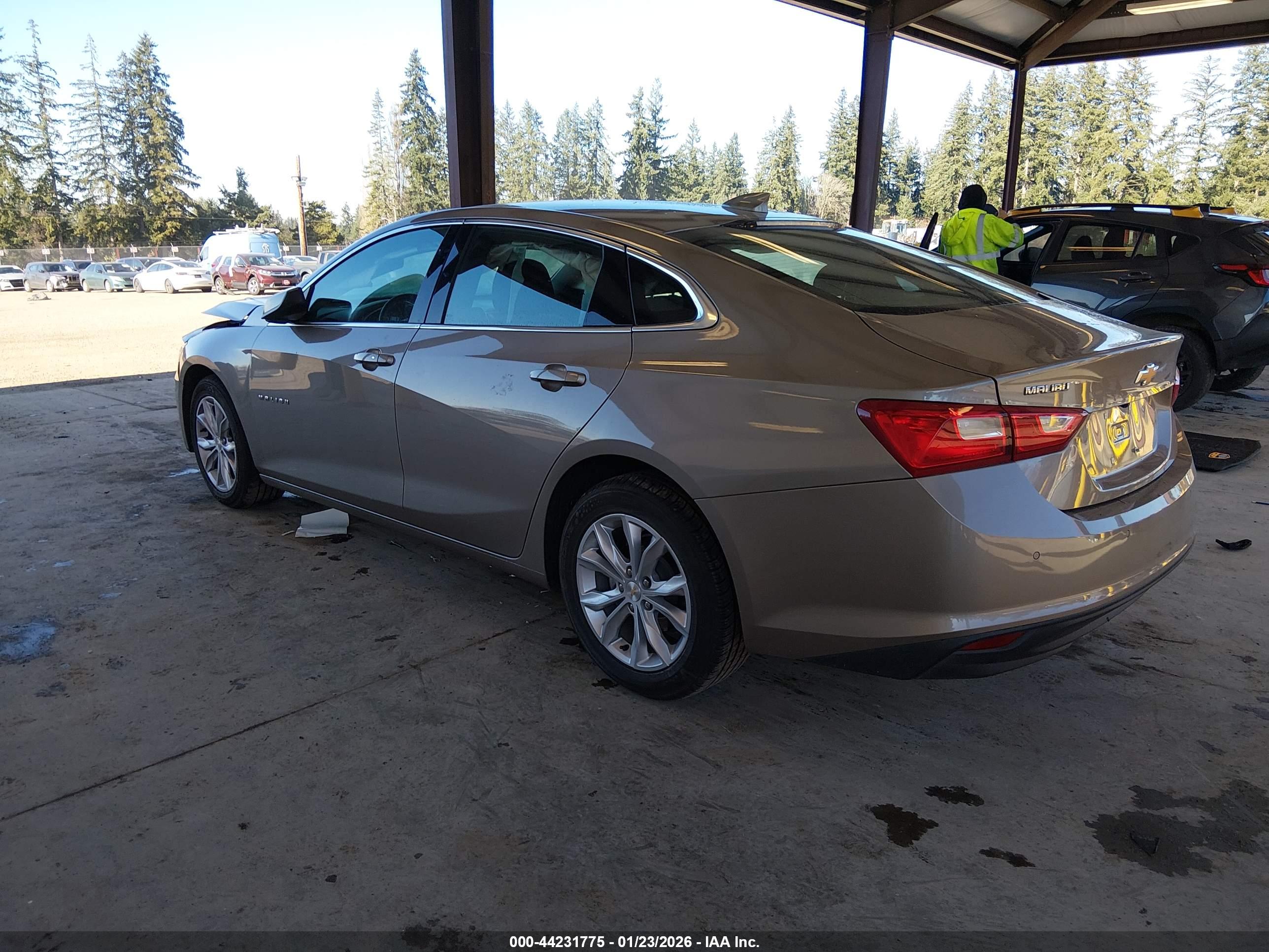 CHEVROLET MALIBU image 3