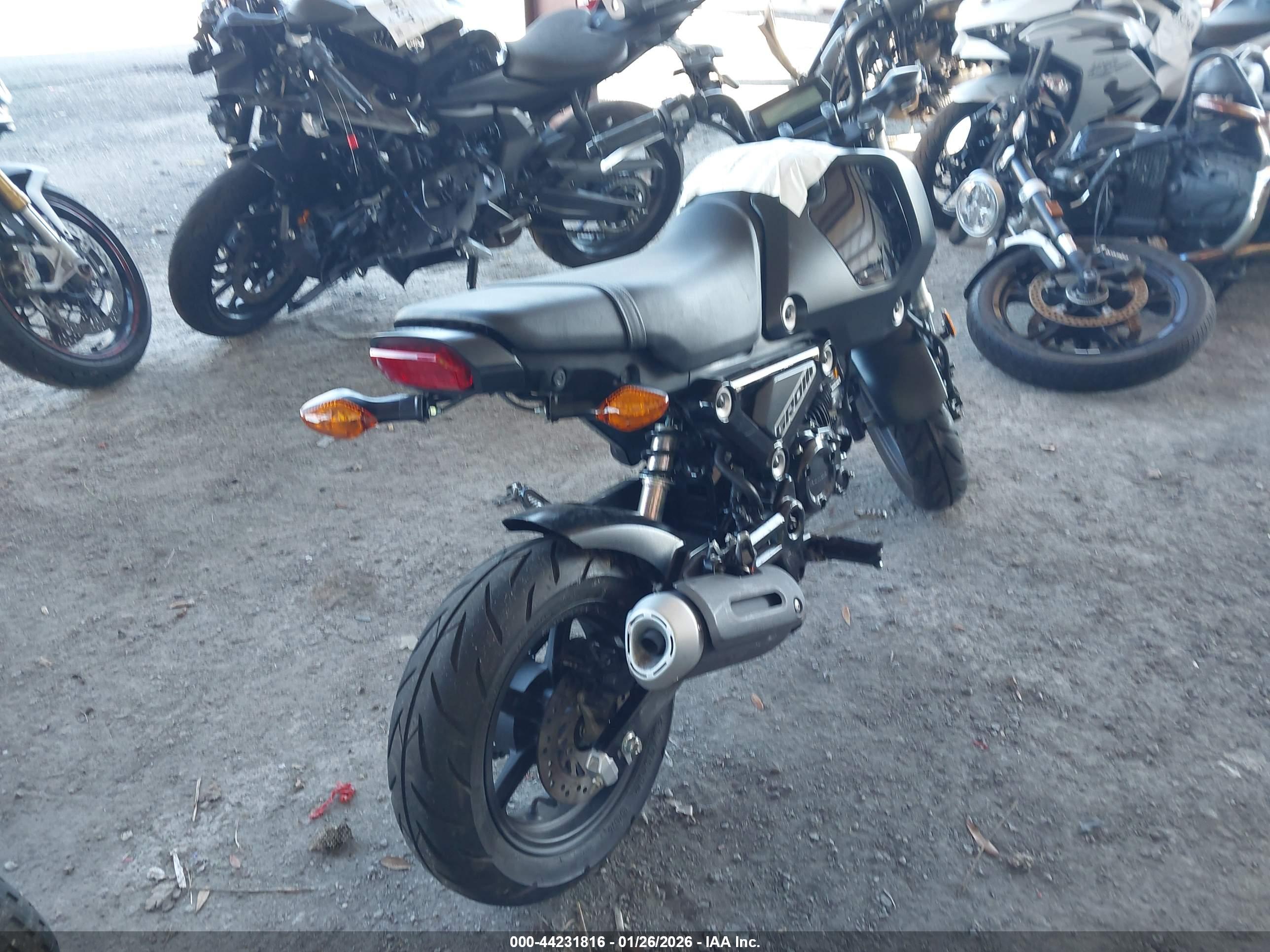 HONDA GROM image 4