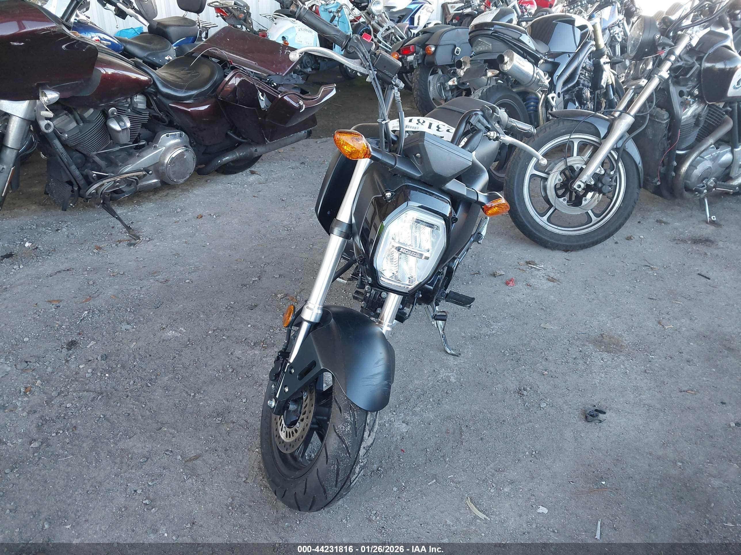 HONDA GROM image 5